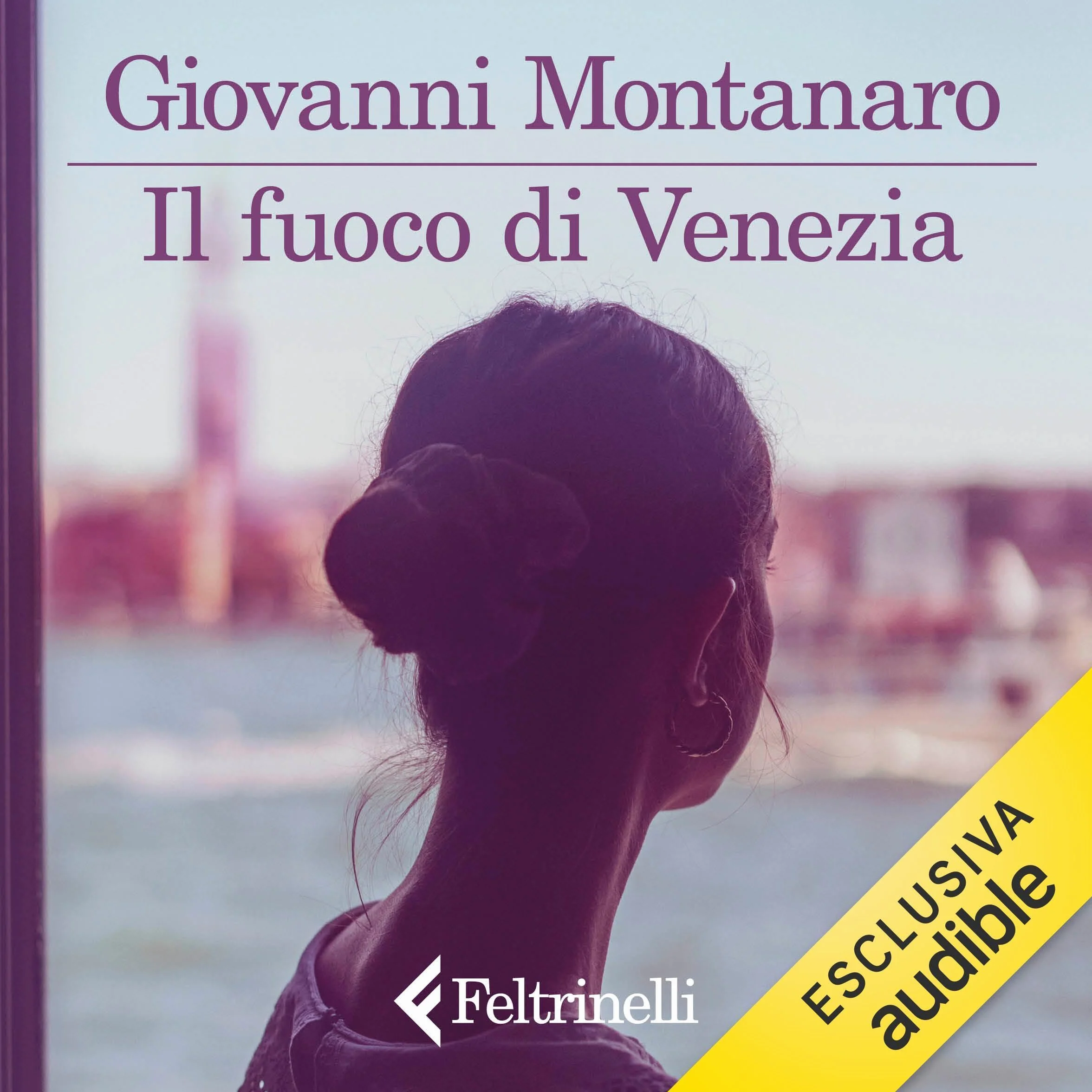 Il fuoco di Venezia