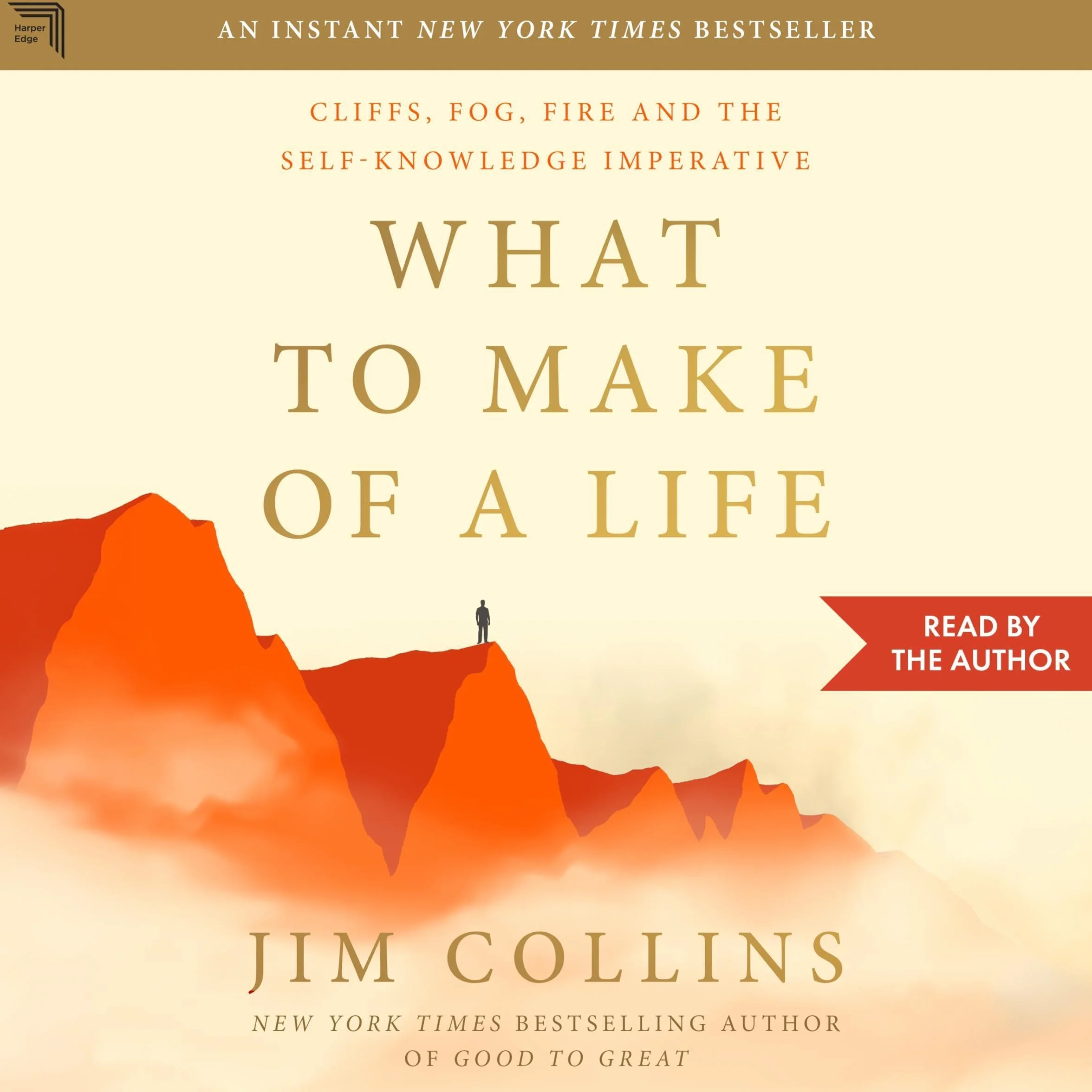 What to Make of a Life: Cliffs, Fog, Fire and the Self-Knowledge Imperative
