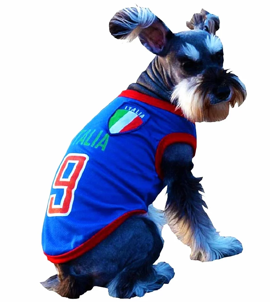 Vestito tifoso Microbista squadra calcio ITALIA Ultra XL cane Idea Regalo originale