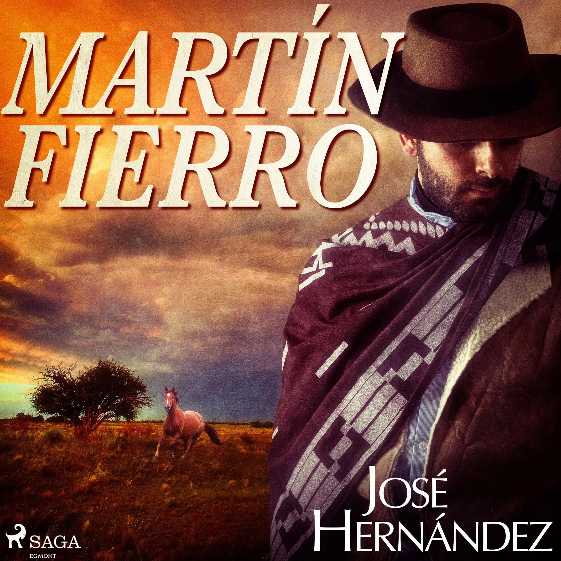 Martín Fierro