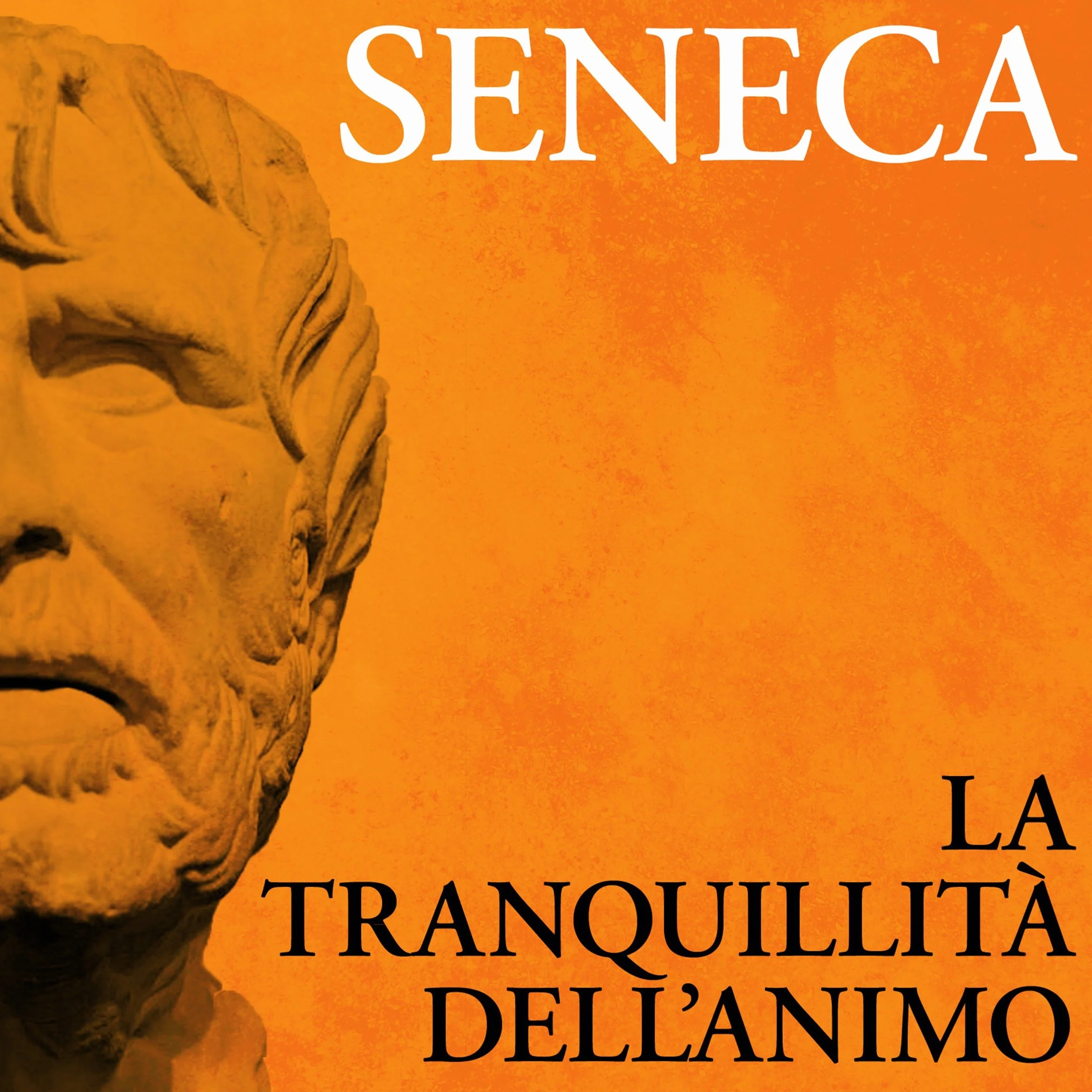La tranquillità dell'animo