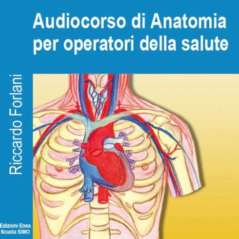 Audiocorso di anatomia per operatori della salute
