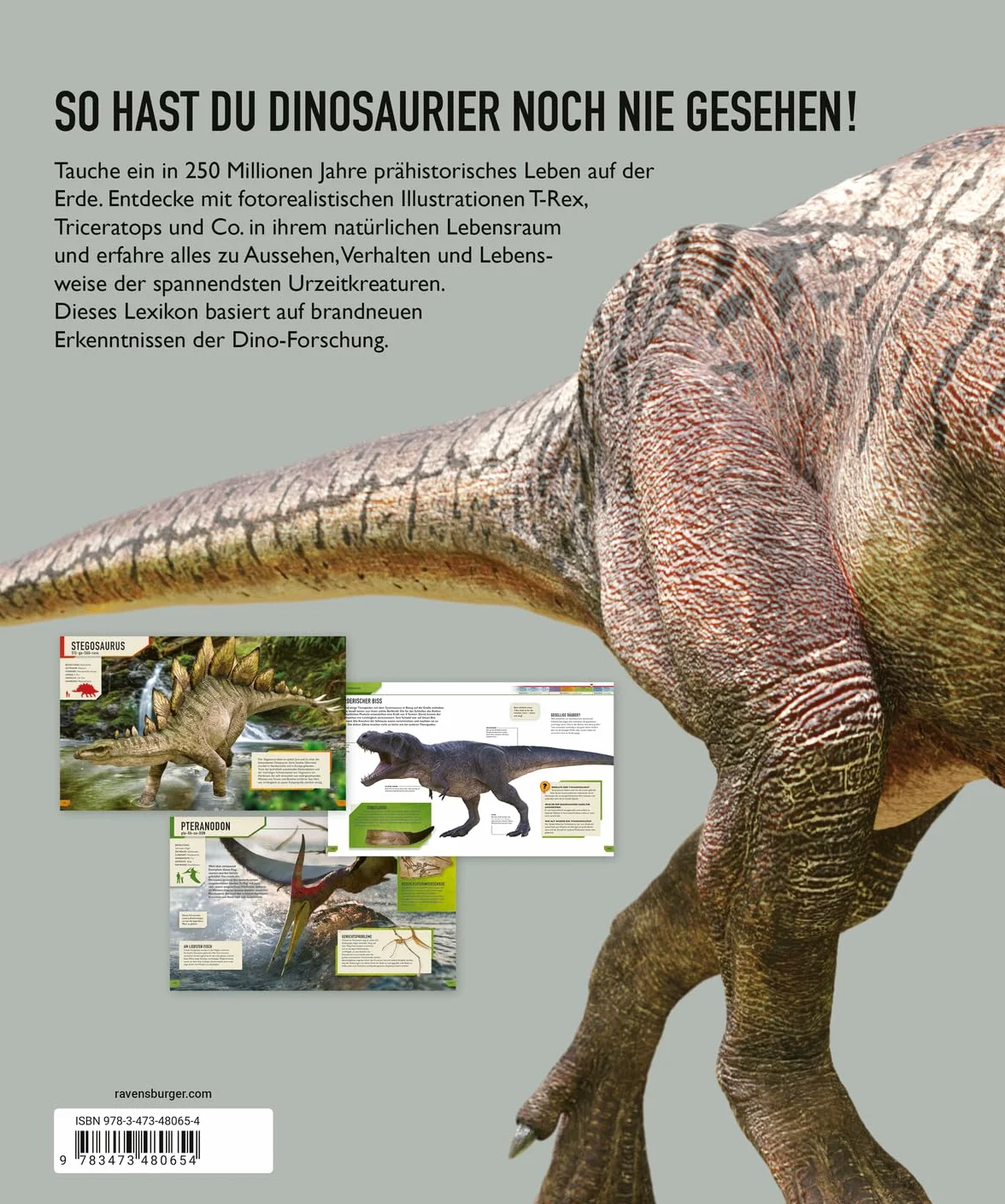 Das ultimative Dinosaurierlexikon: auf dem neusten Stand der Forschung! Das Geschenk für kleine und große Dino-Fans