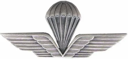 DISTINTIVO ABILITAZIONE AL LANCIO PARACADUTISTI DA CAMICIA ESTIVA METALLO 4,5 cm