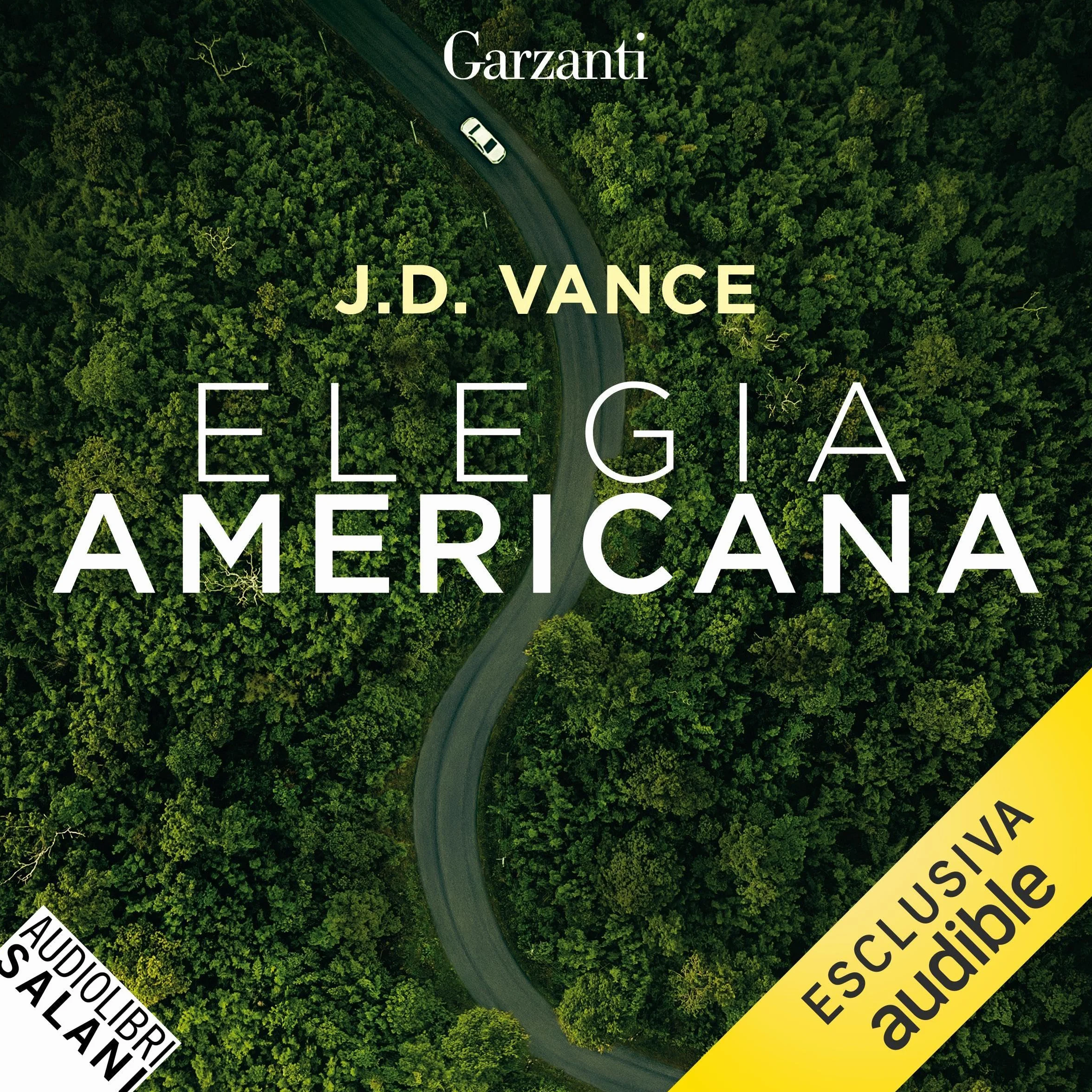 Elegia americana