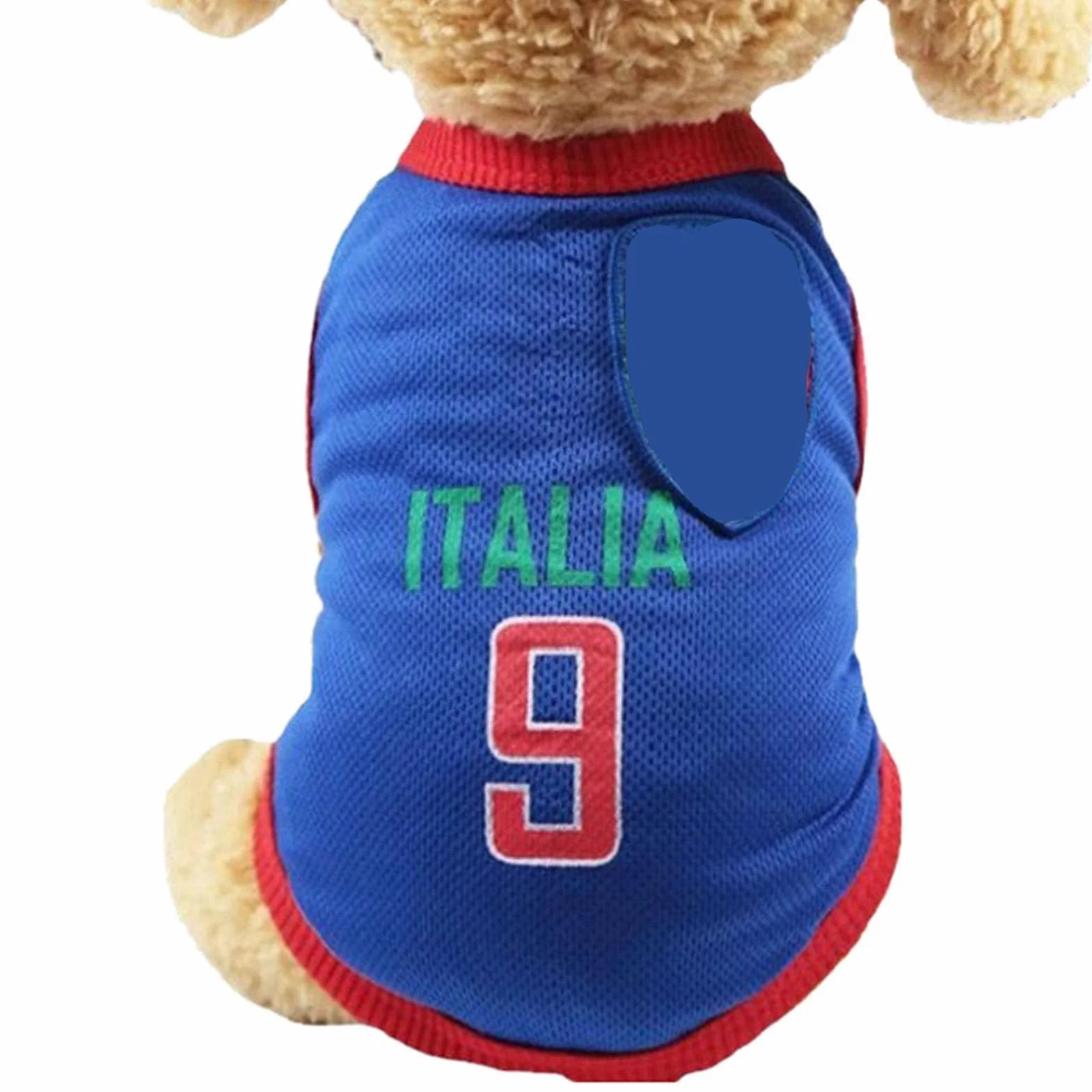 Maglia da Calcio per Cani Piccoli, Medi e Grandi (XL-Blu) - Gilet Sportivo Nazionale