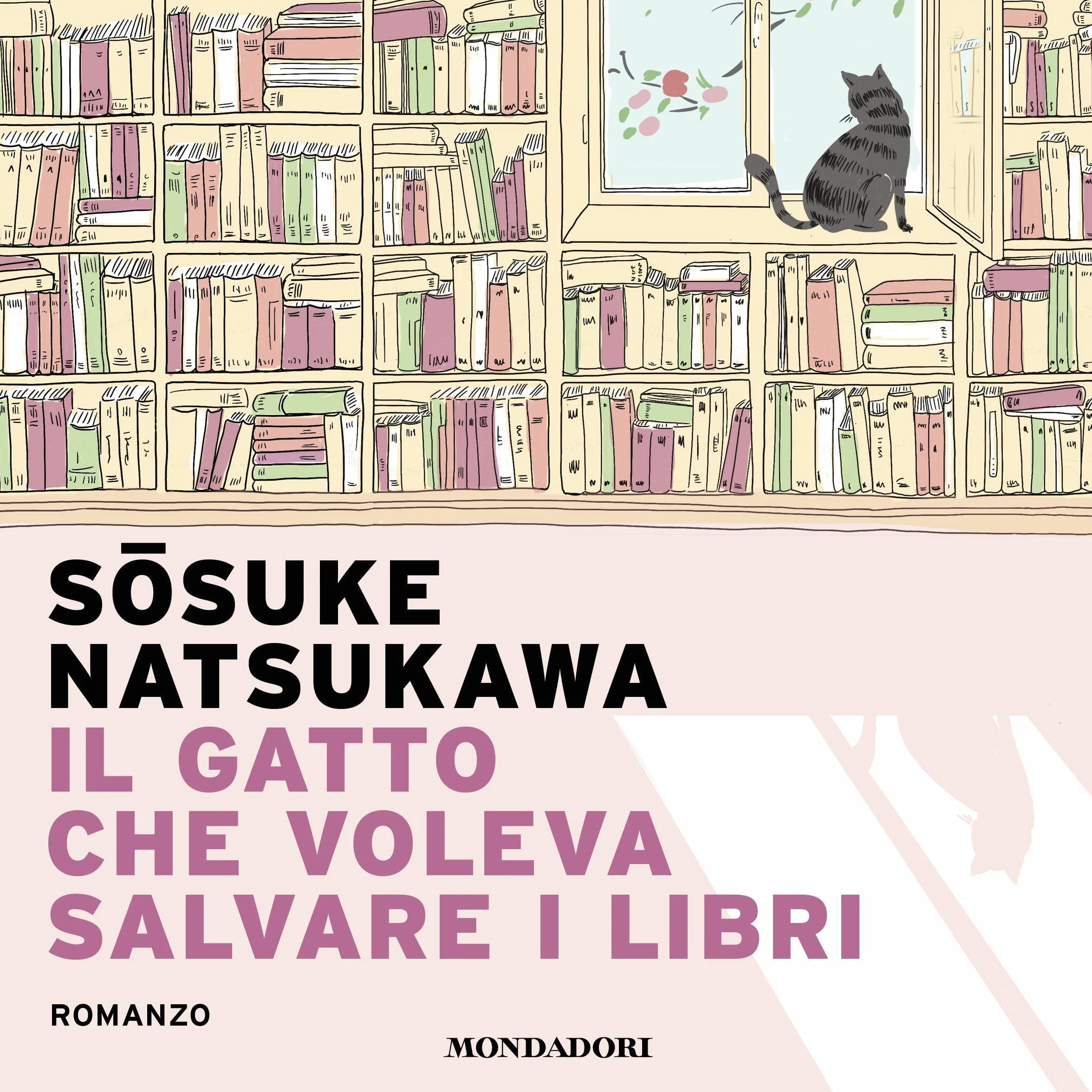 Il gatto che voleva salvare i libri
