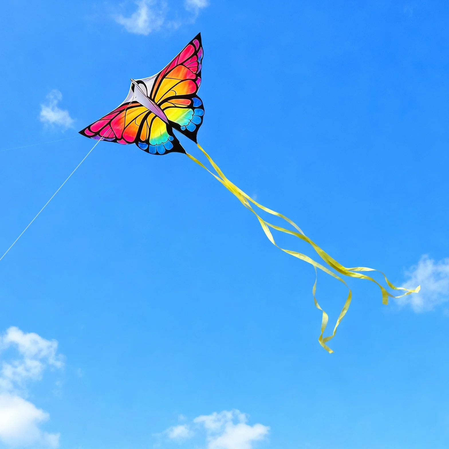 Butterfly Kite Aquilone per Bambini e Adulti Facile da Volare