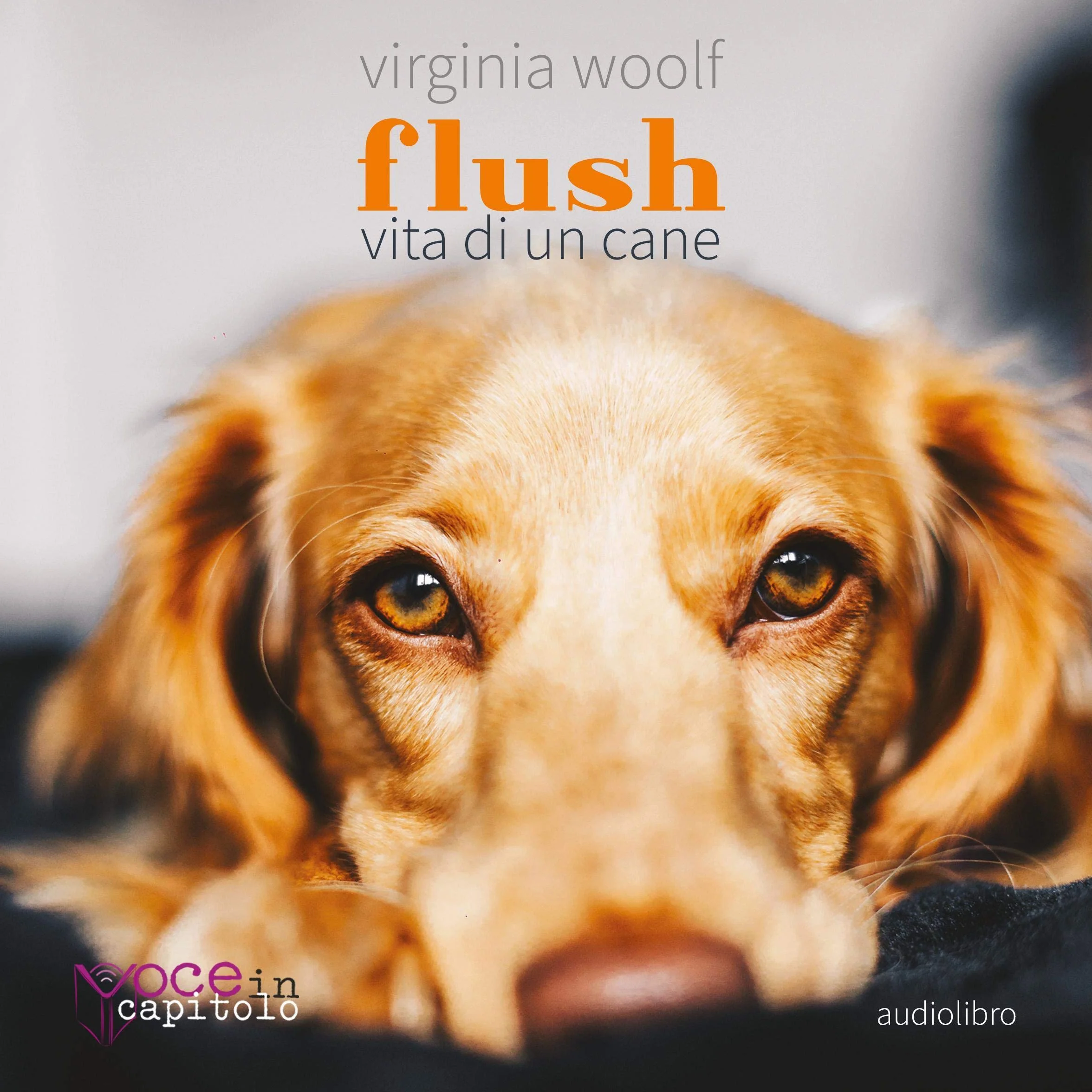Flush: Vita di un cane