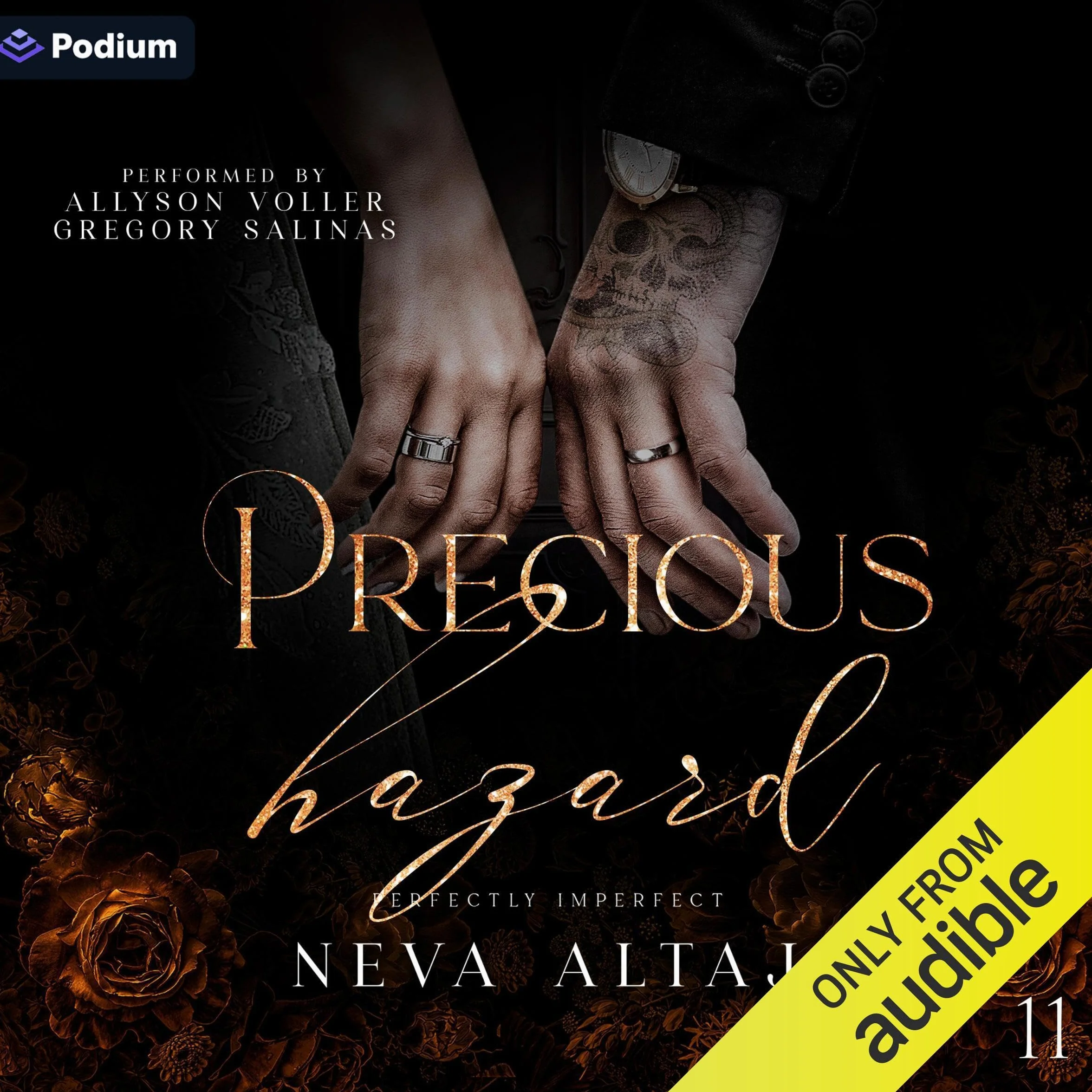 Precious Hazard: Perfectly Imperfect, Book 11