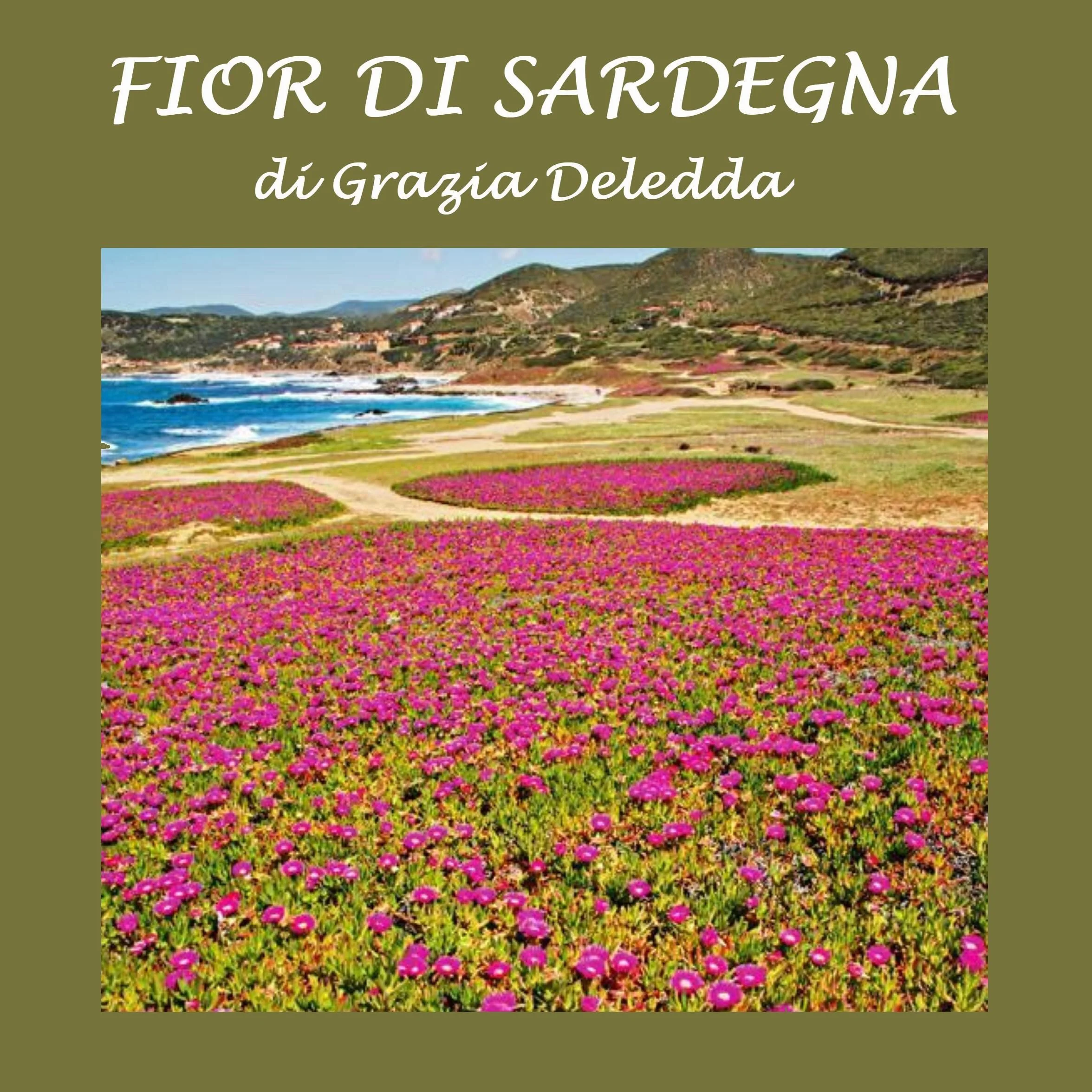 Fior di Sardegna