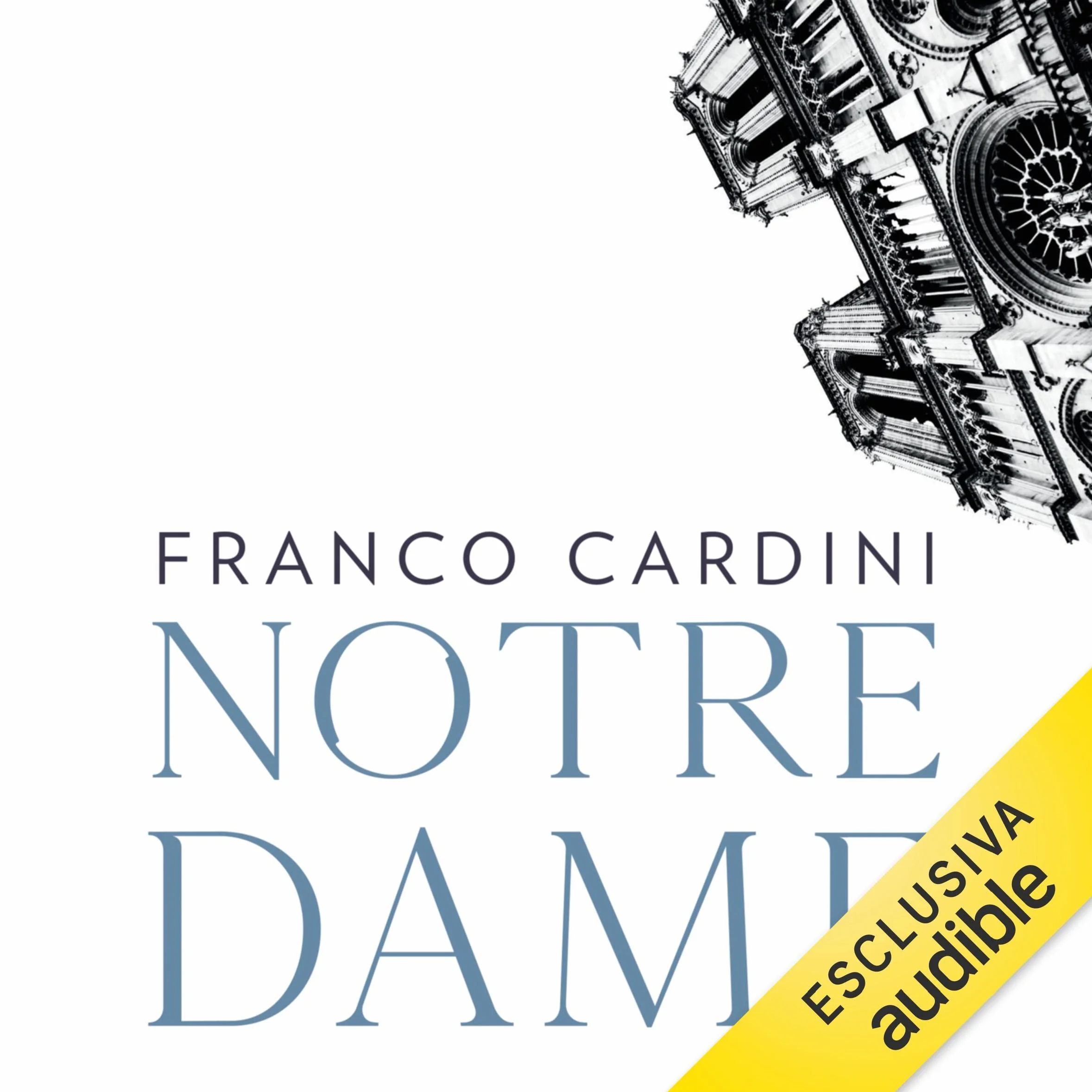 Notre Dame: Il cuore di luce dell'Europa