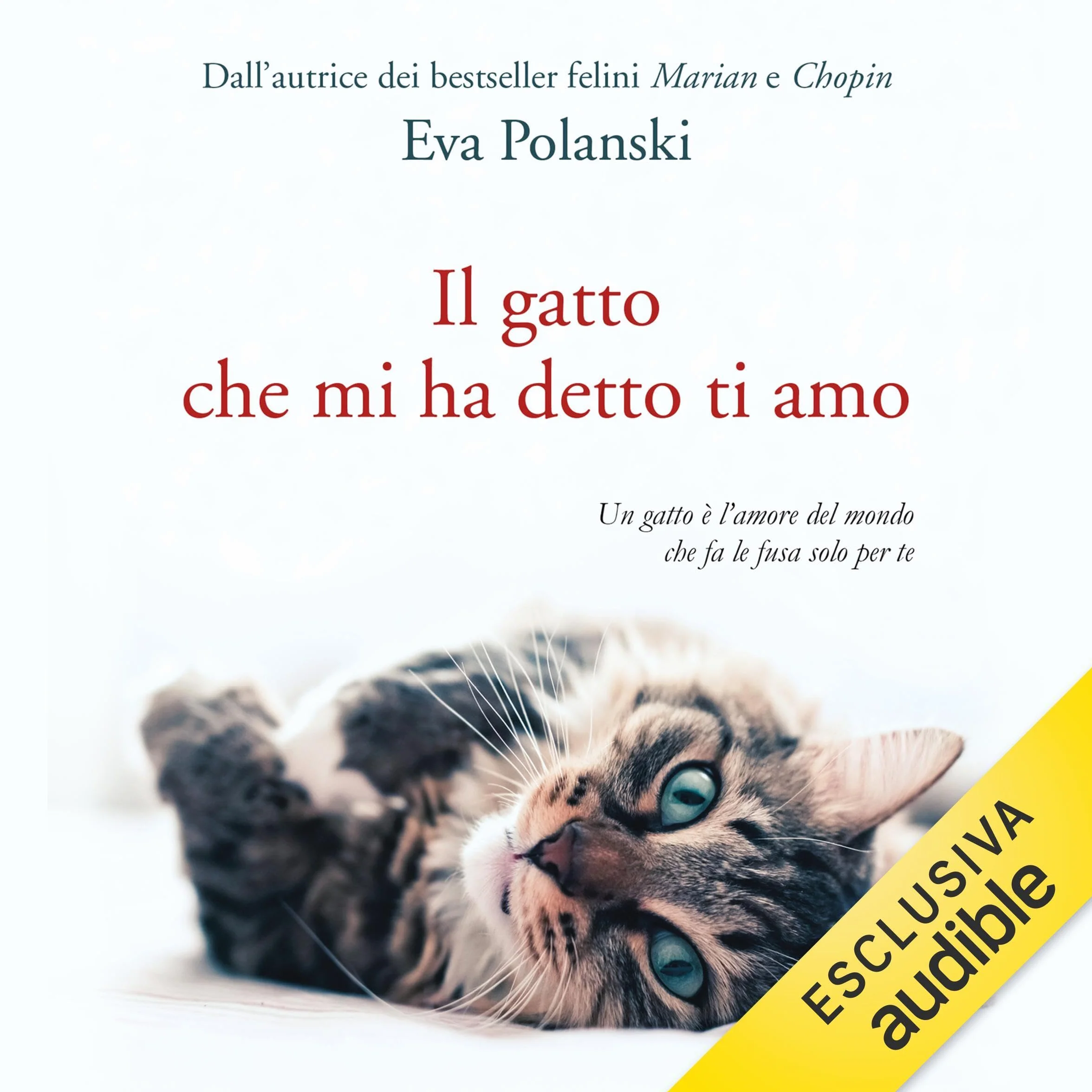 Il gatto che mi ha detto ti amo