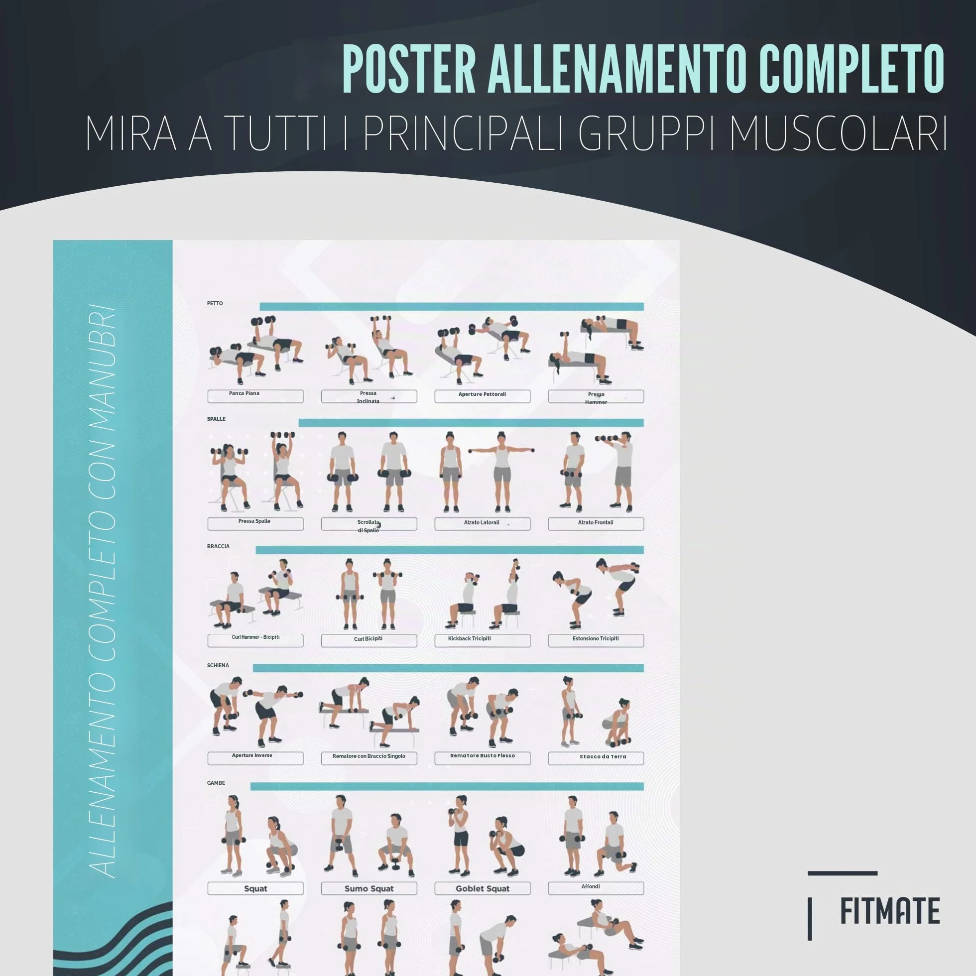 FitMate Poster per esercizi con manubri e pesi gratuiti 42 x 63 cm decorazione palestra casa
