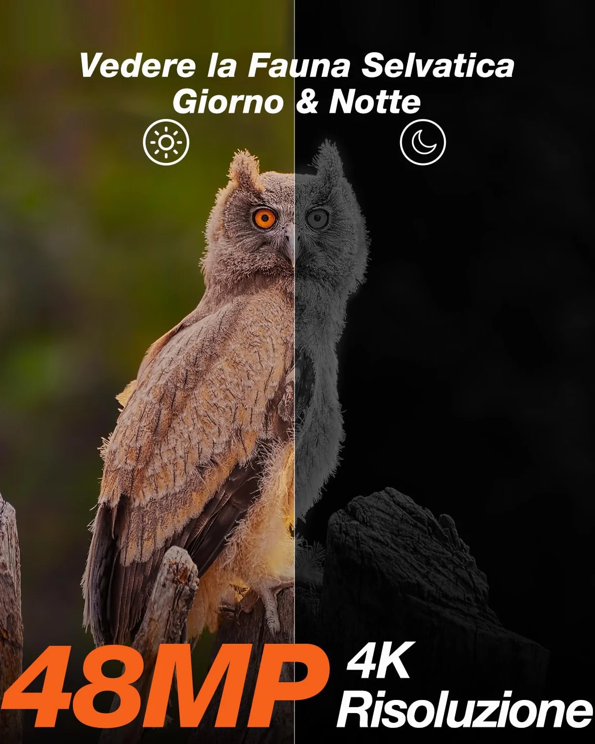 iZEEKER Fototrappola Solare 4K 30fps 48MP Infrarossi LED 850nm Impermeabile IP66 Batteria 2600mAh