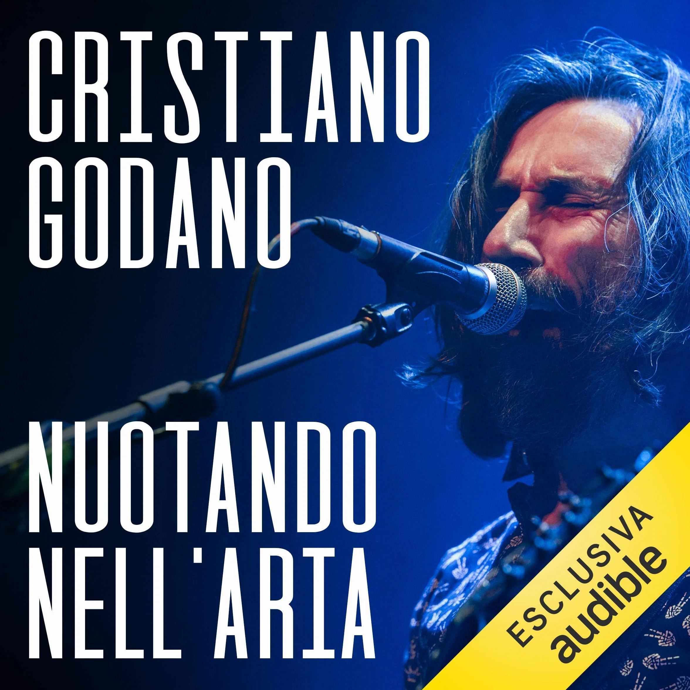 Nuotando nell'aria: Dietro 35 canzoni dei Marlene Kuntz