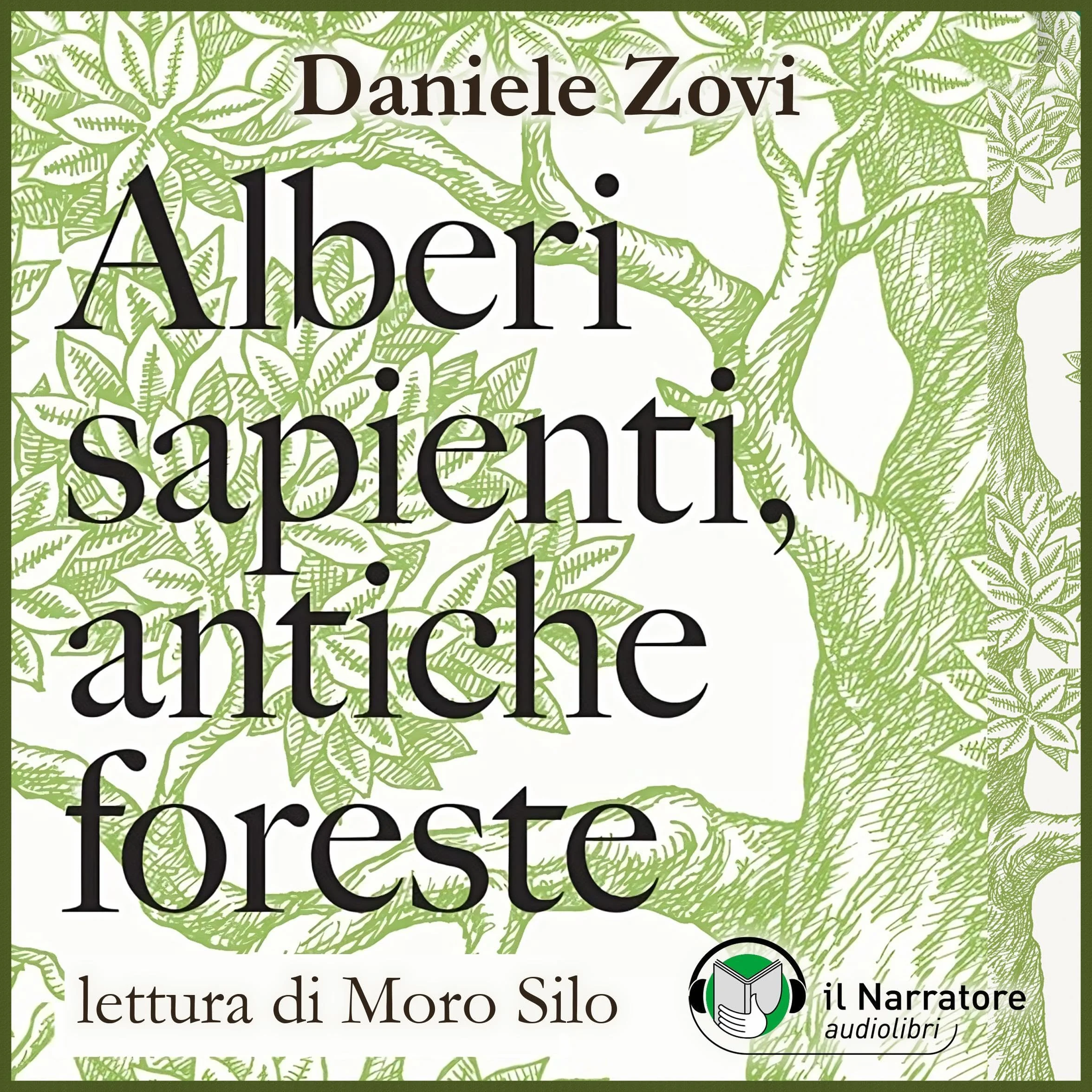 Alberi sapienti, antiche foreste: Come guardare, ascoltare e avere cura del bosco