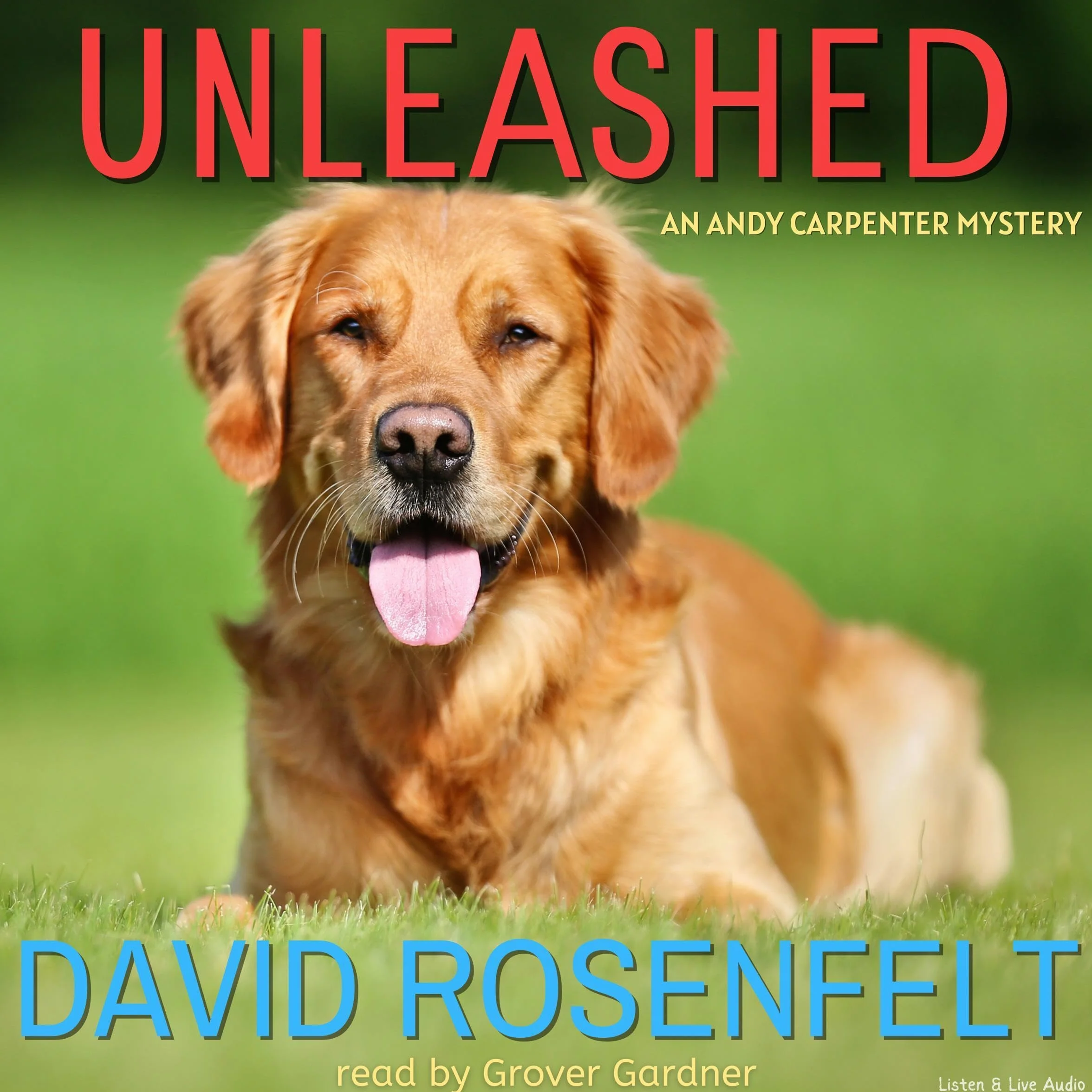 Unleashed: Andy Carpenter, Book 11