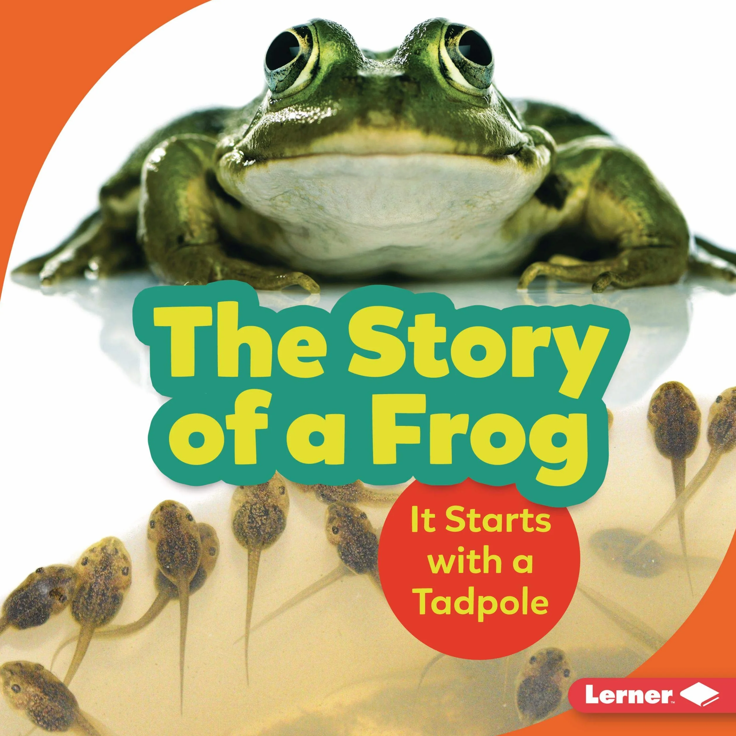 The Story of a Frog: It Starts with a Tadpole