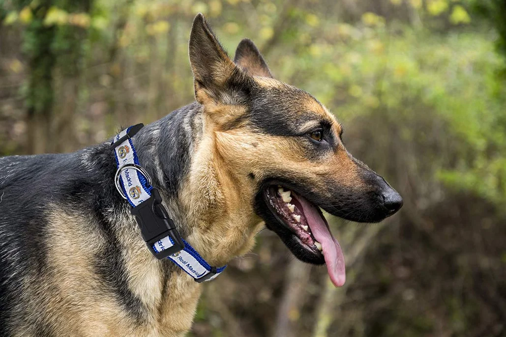 Pets First Collare per cani Real Madrid, PET resistente, taglia L