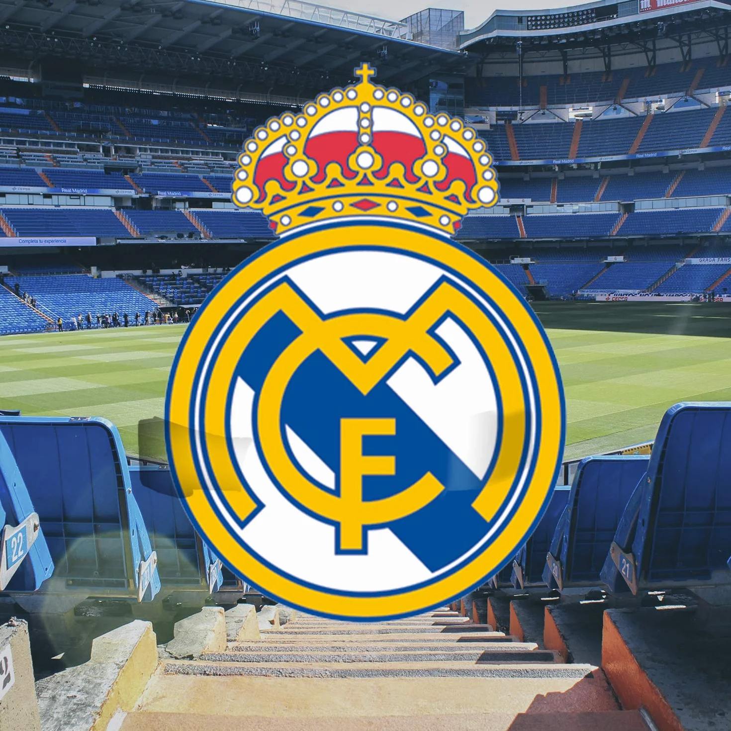 Real Madrid Felpa per Cani Taglia L Prodotto Ufficiale