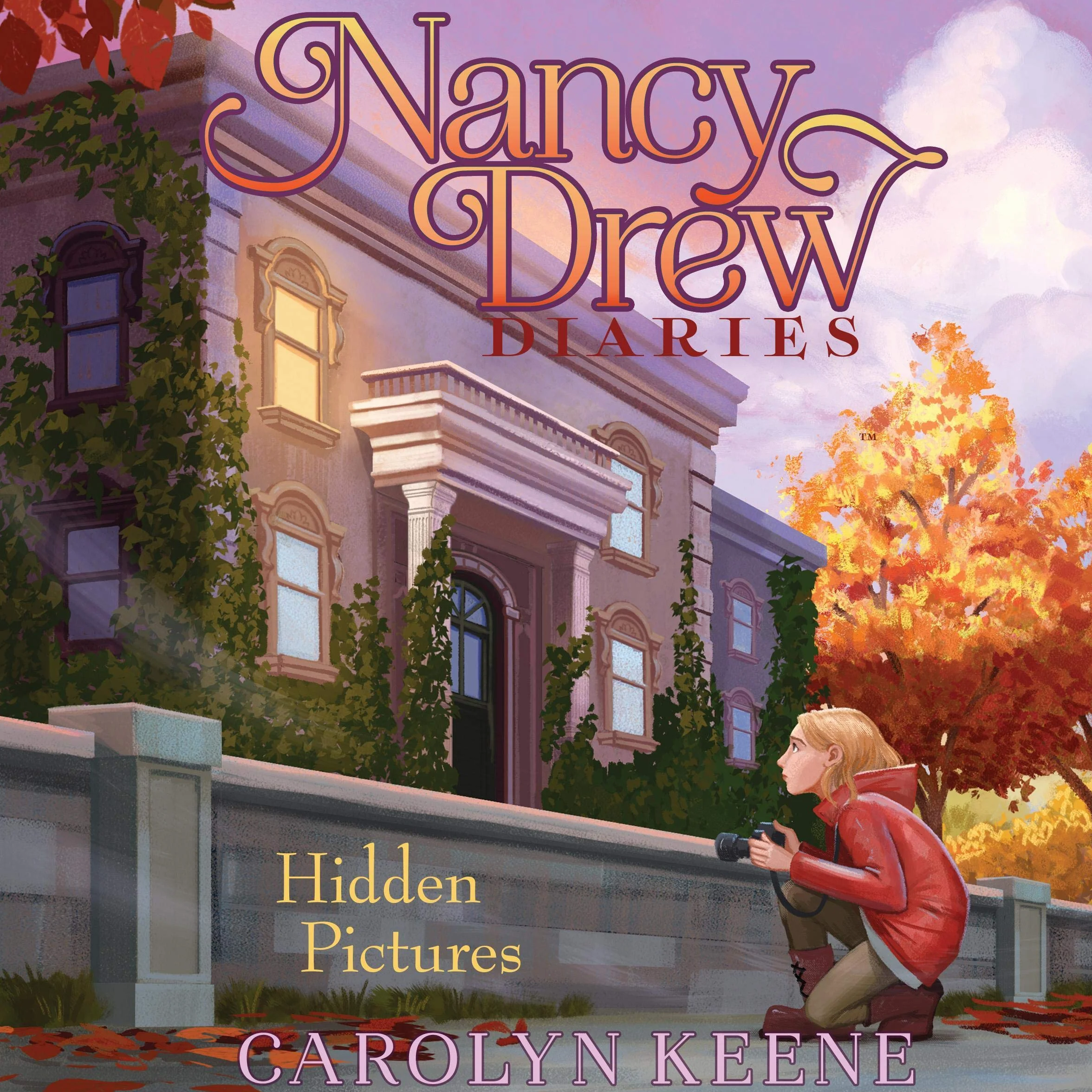 Hidden Pictures: Nancy Drew Diaries, Book 19