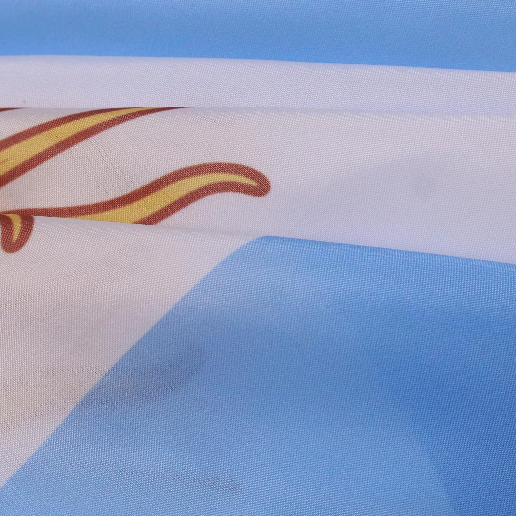 AZ FLAG Bandiera Argentina, 150 x 90 cm, mantello bandiera argentina, 100% poliestere, con maniche integrate, body flag 80 g