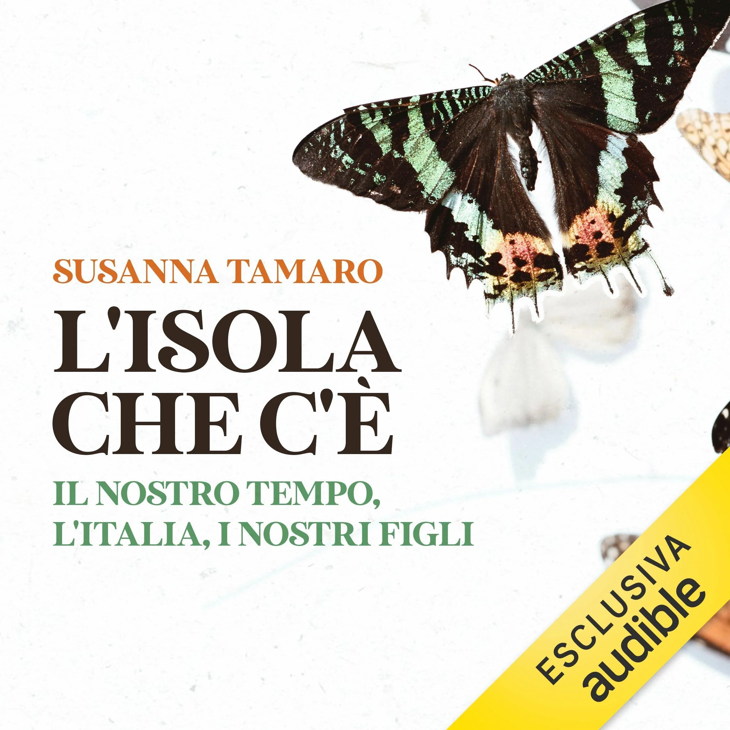 L'isola che c'è: Il nostro tempo, l'Italia, i nostri figli
