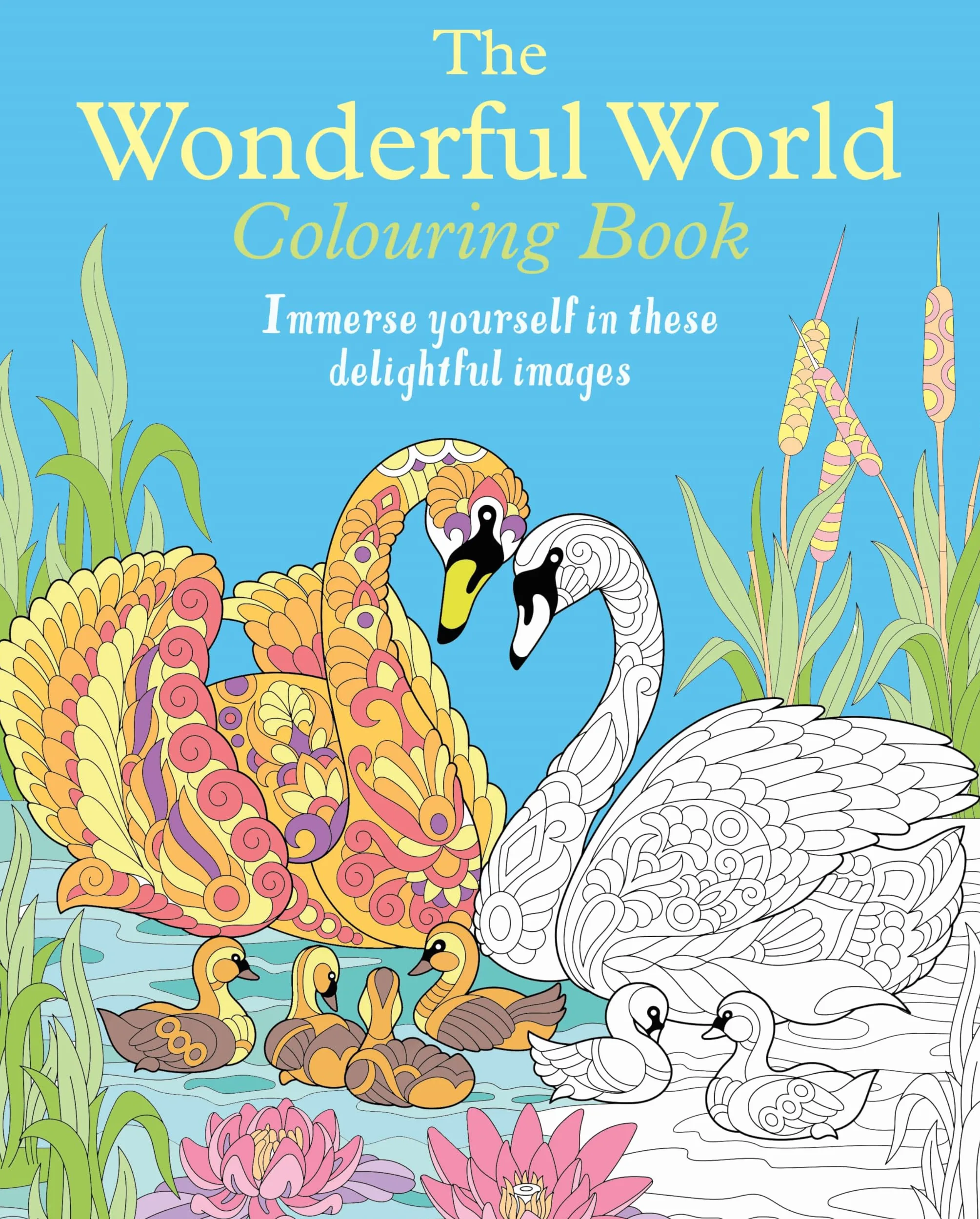 The Wonderful World Colouring Book: Immerse yourself in these delightful images