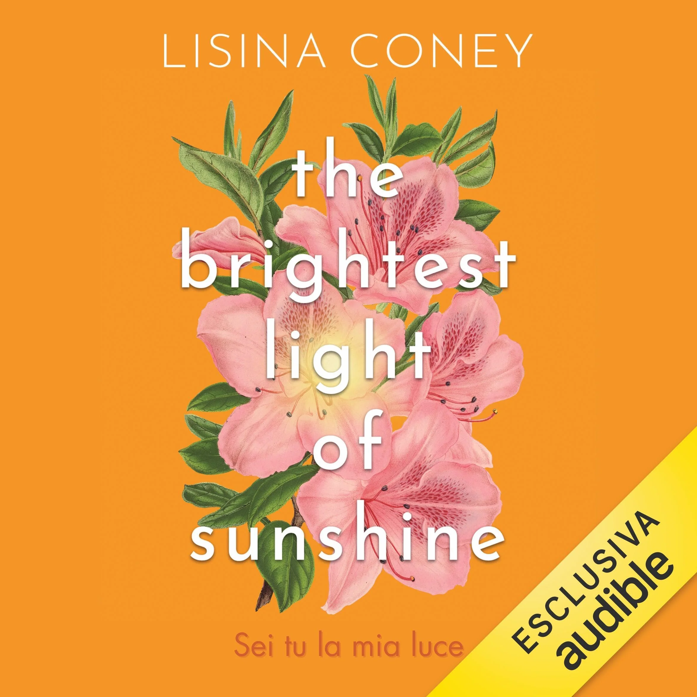 The brightest light of sunshine - Sei tu la mia luce: The Brightest Light, Vol. 1