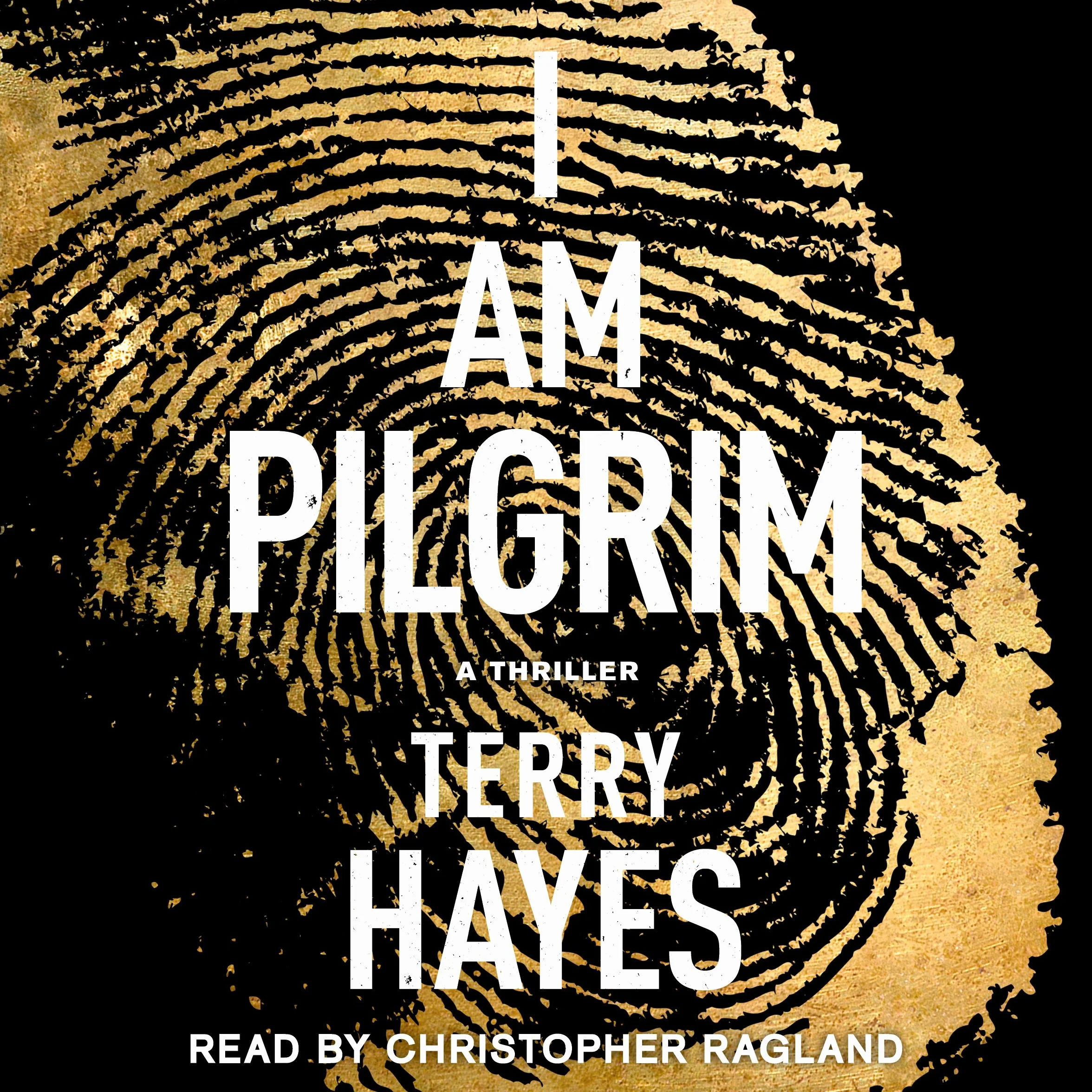 I Am Pilgrim: A Thriller