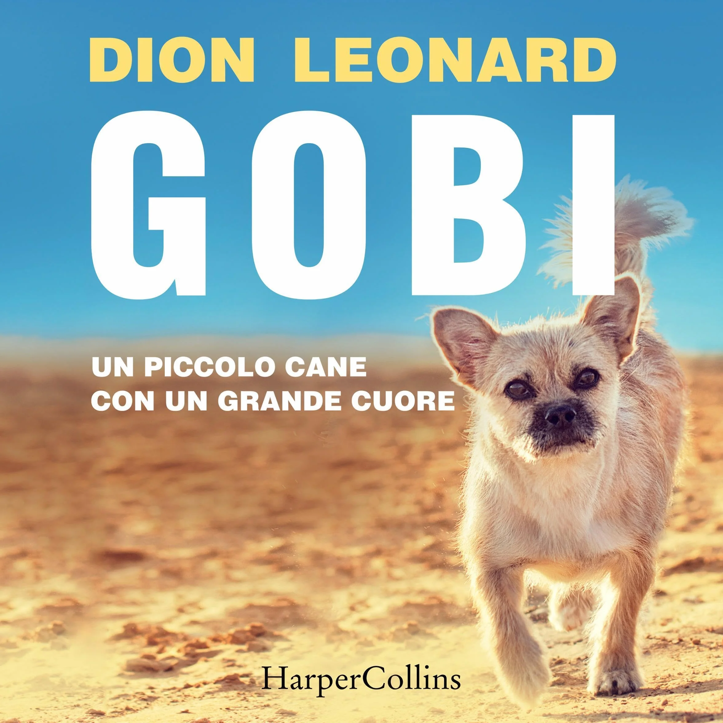 Gobi