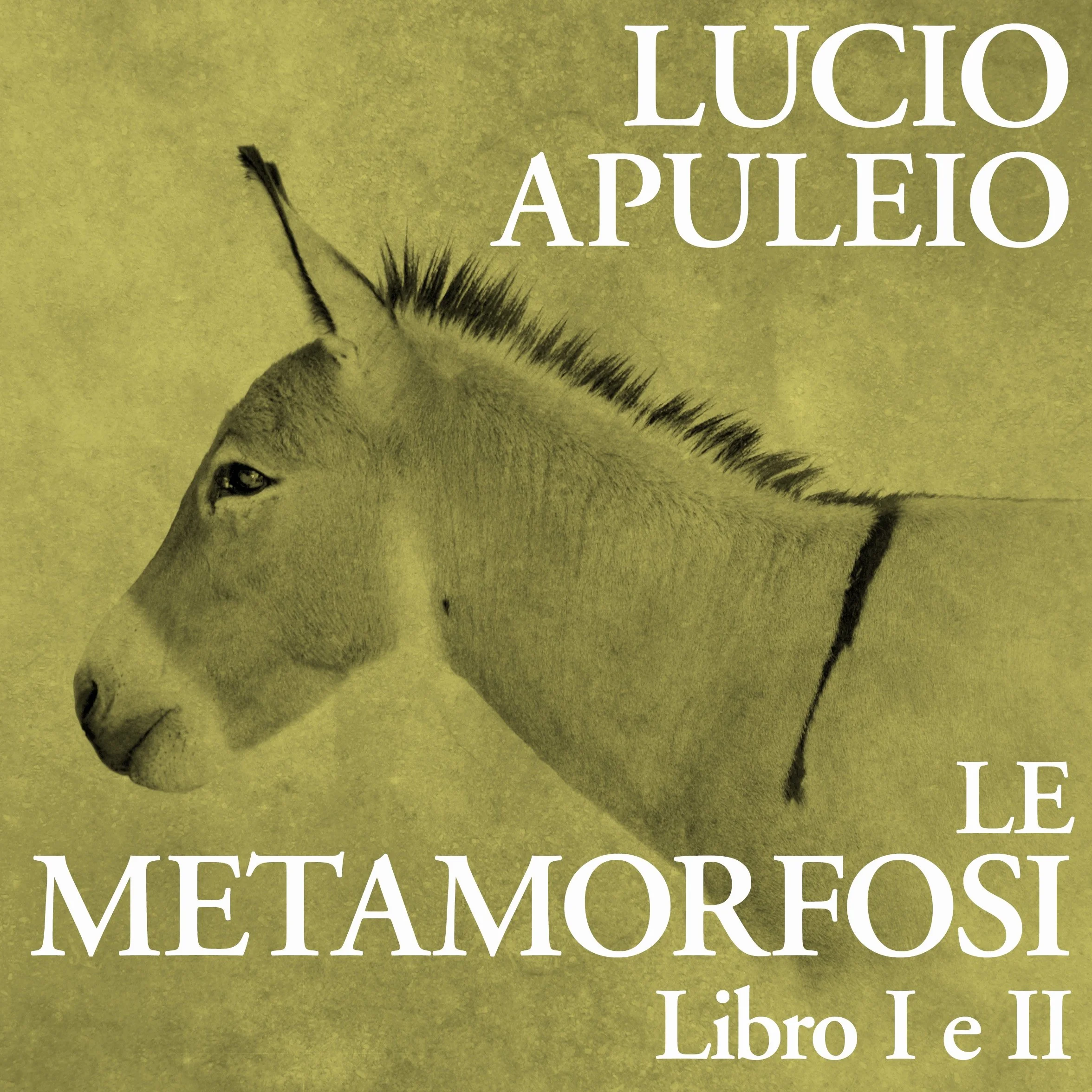 Le Metamorfosi: Libro I e II