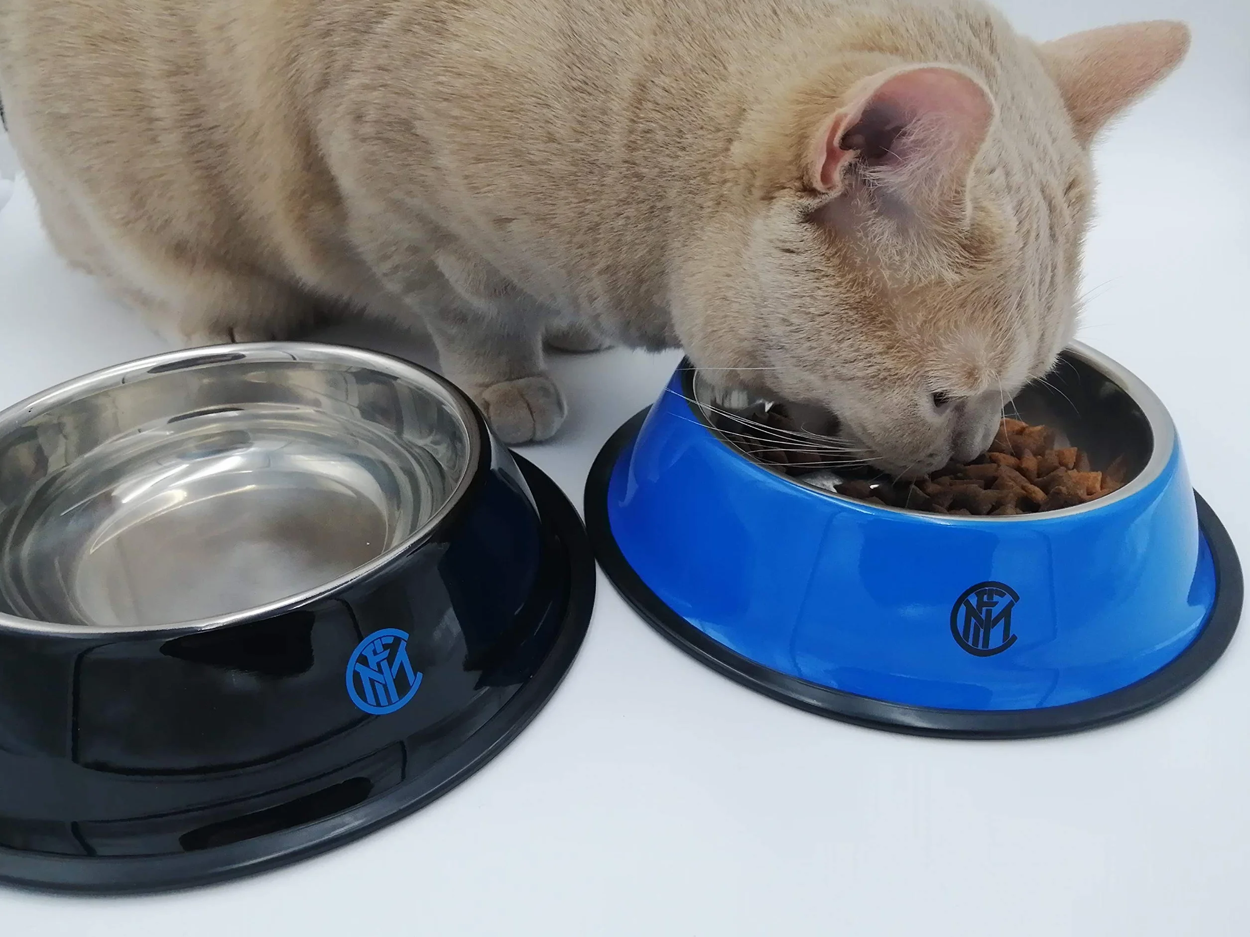 Inter Prodotto Ufficiale Set 2 Ciotole Animali Domestici, Nero Azzurro