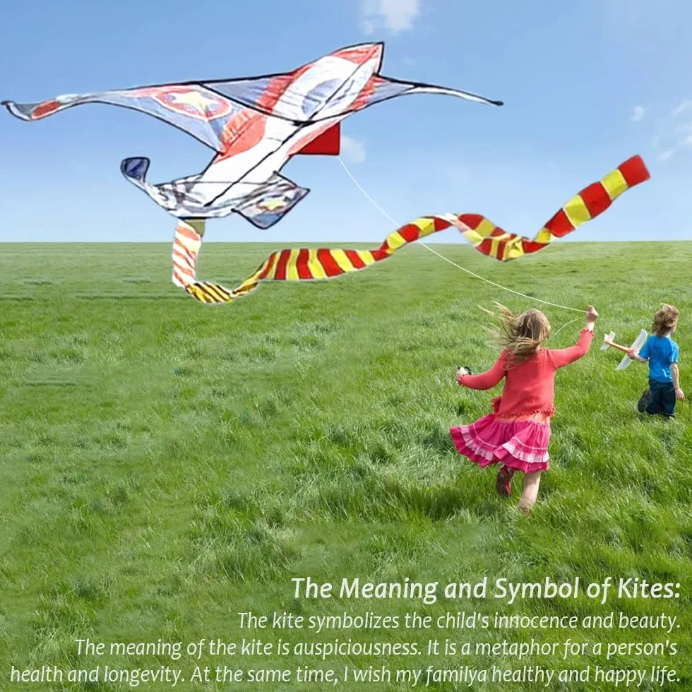 Fighter Plane Kite for Kids and Adults, Easy to Fly Kite with 100M Line, Colorful Kite for Beginners