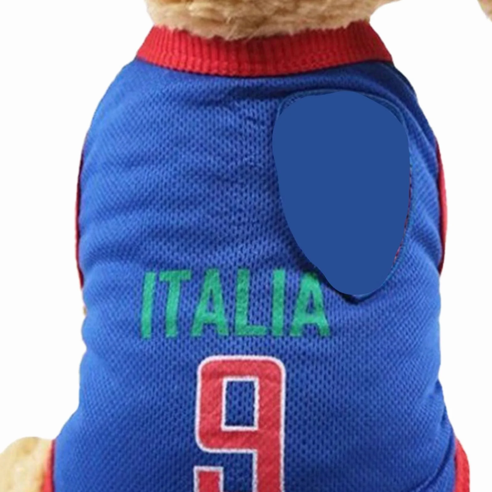 Maglia da Calcio per Cani Piccoli, Medi e Grandi (XL-Blu) - Gilet Sportivo Nazionale