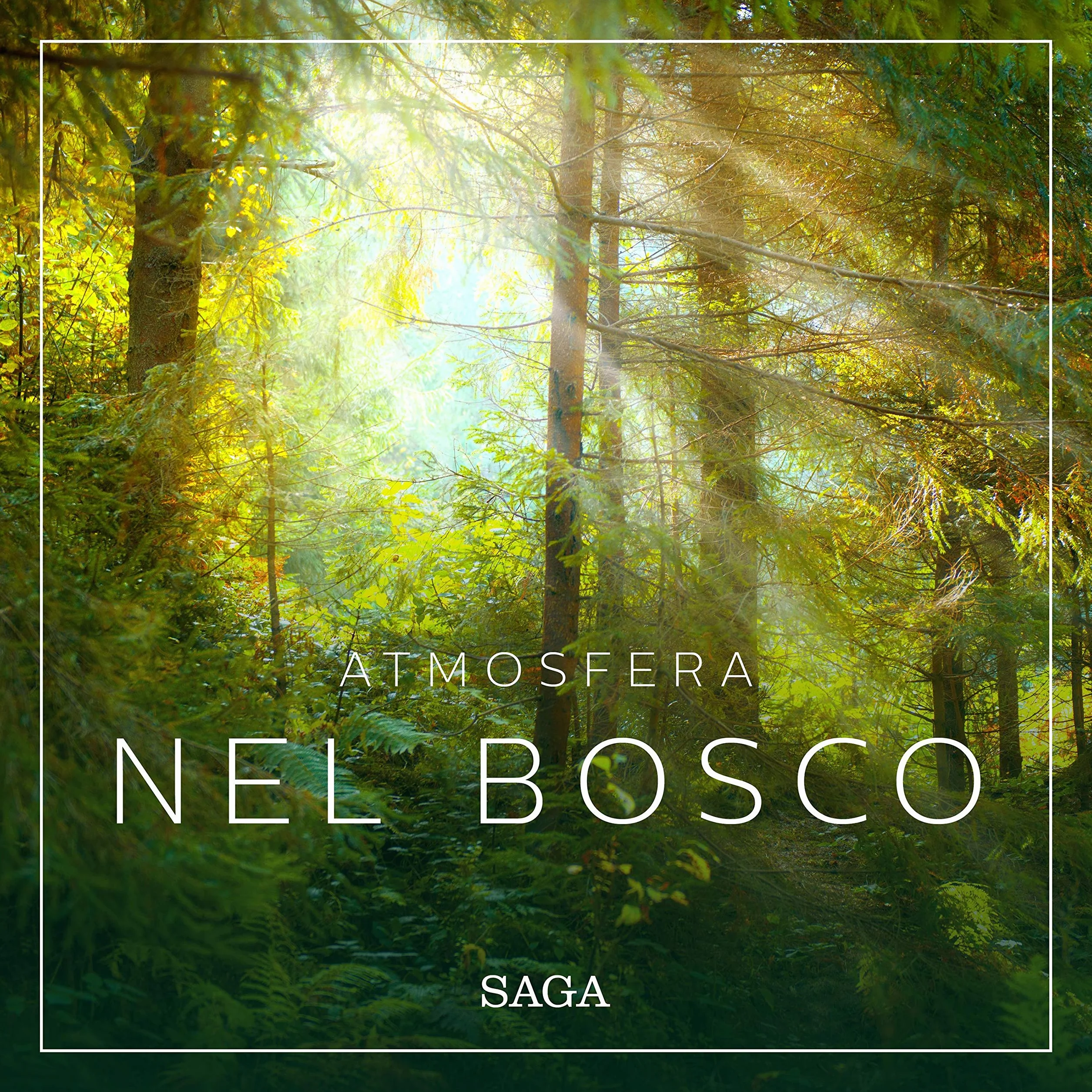 Atmosfera - Nel bosco