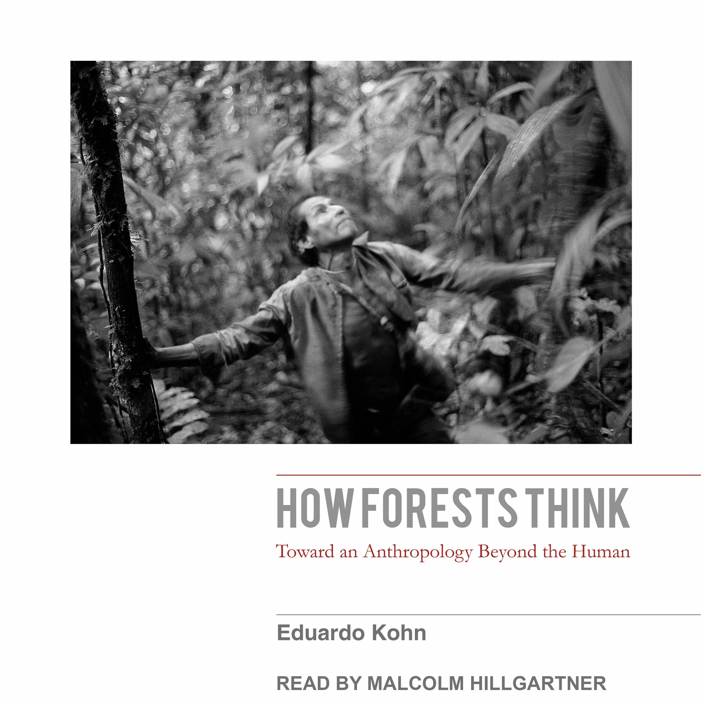 How Forests Think: Toward an Anthropology Beyond the Human