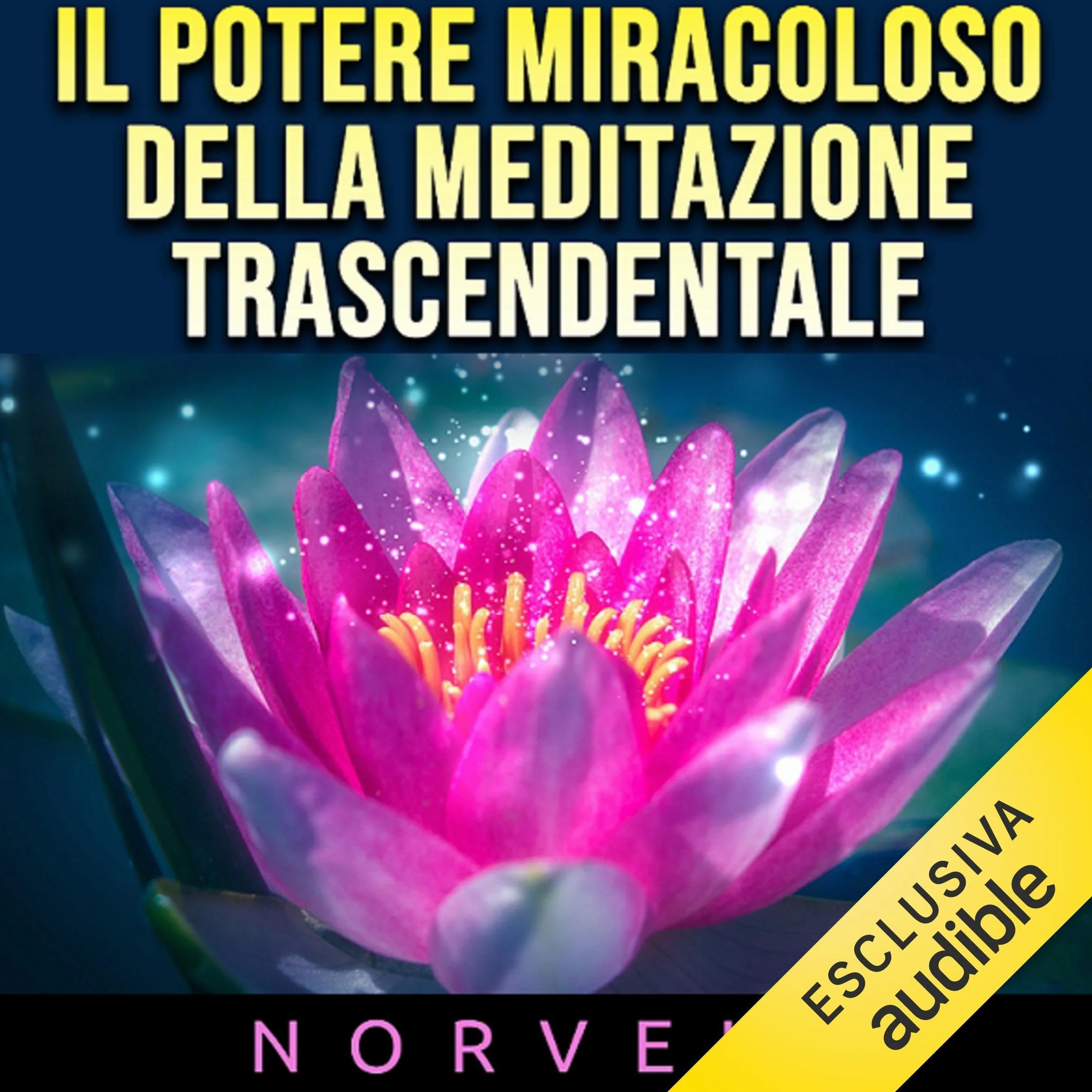 Il potere miracoloso della meditazione trascendentale