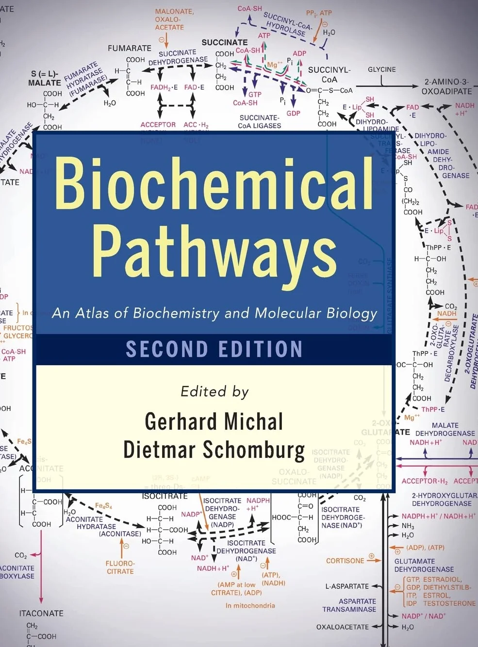 Biochemical Pathways: An Atlas of Biochemistry and Molecular Biology