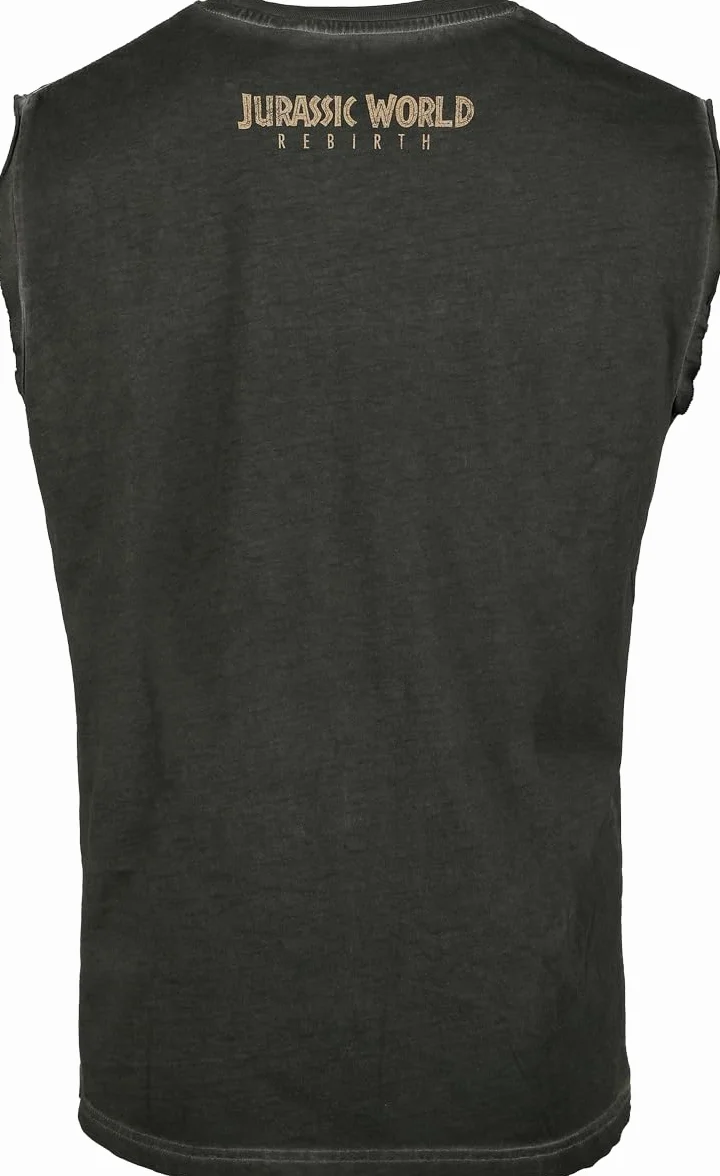 Jurassic Park Jurassic World Canotta Uomo grigio
