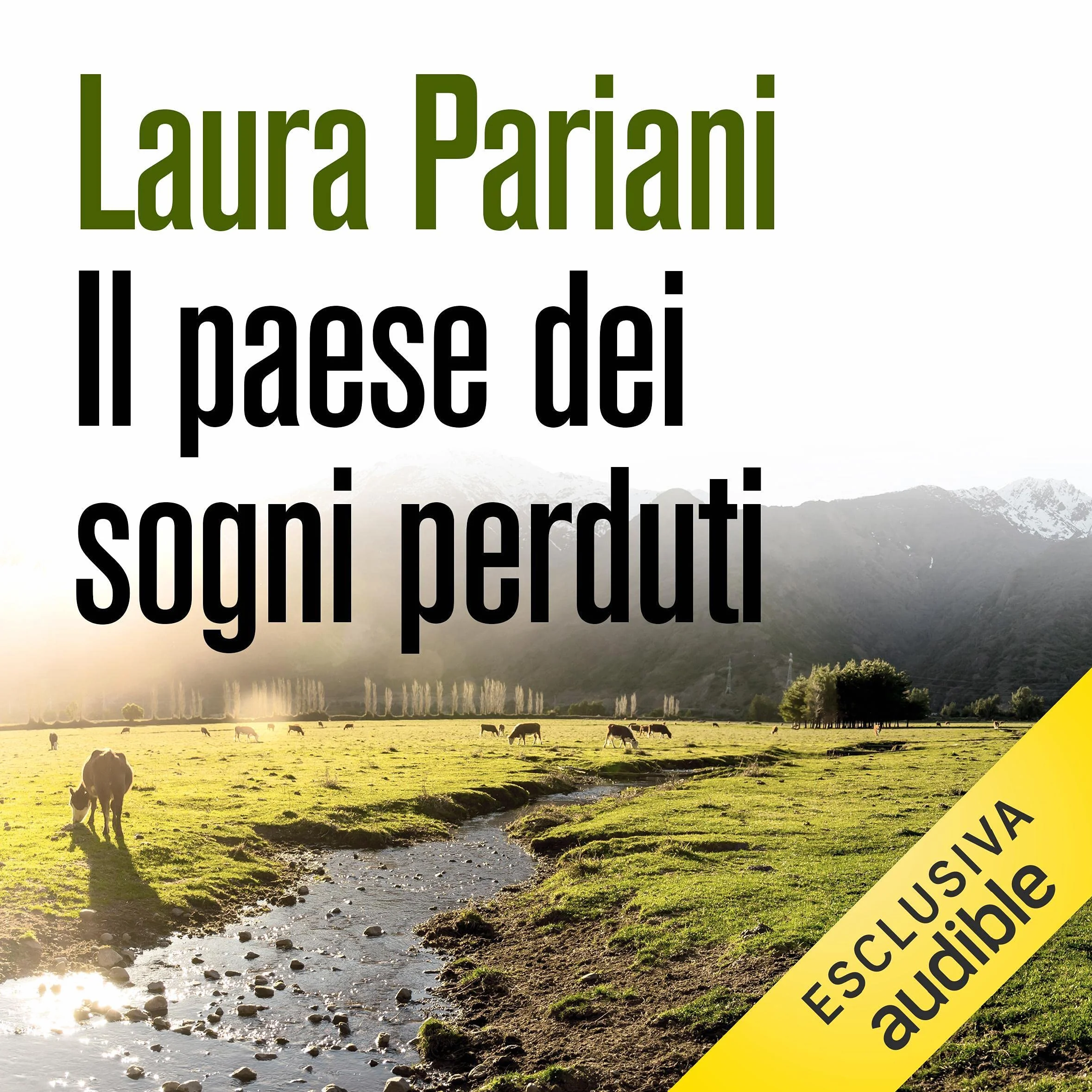 Il paese dei sogni perduti. Anni e storie argentine