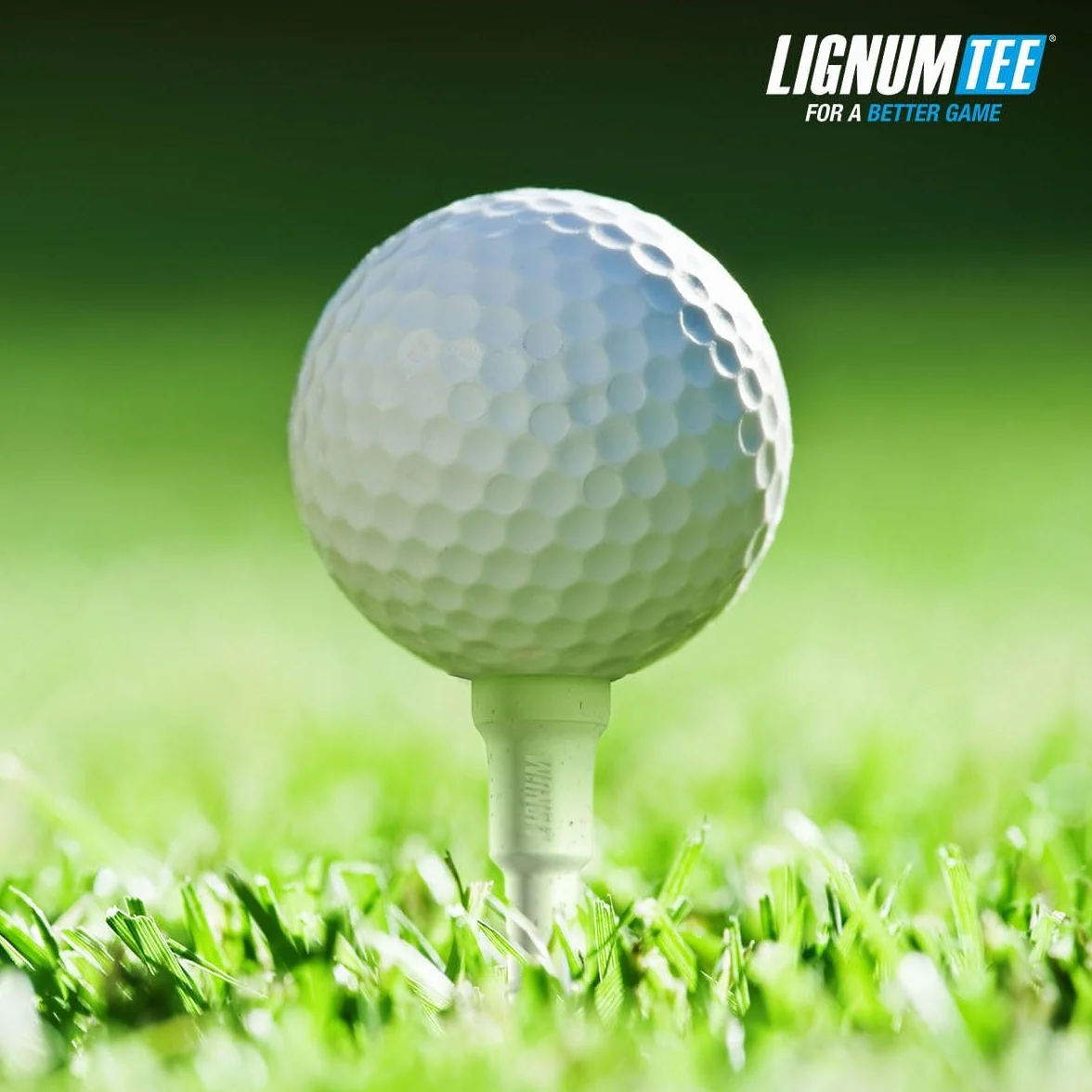 Lignum Tees 72 mm As Bag 12 Pezzi, Multi: Taglia: 72 mm